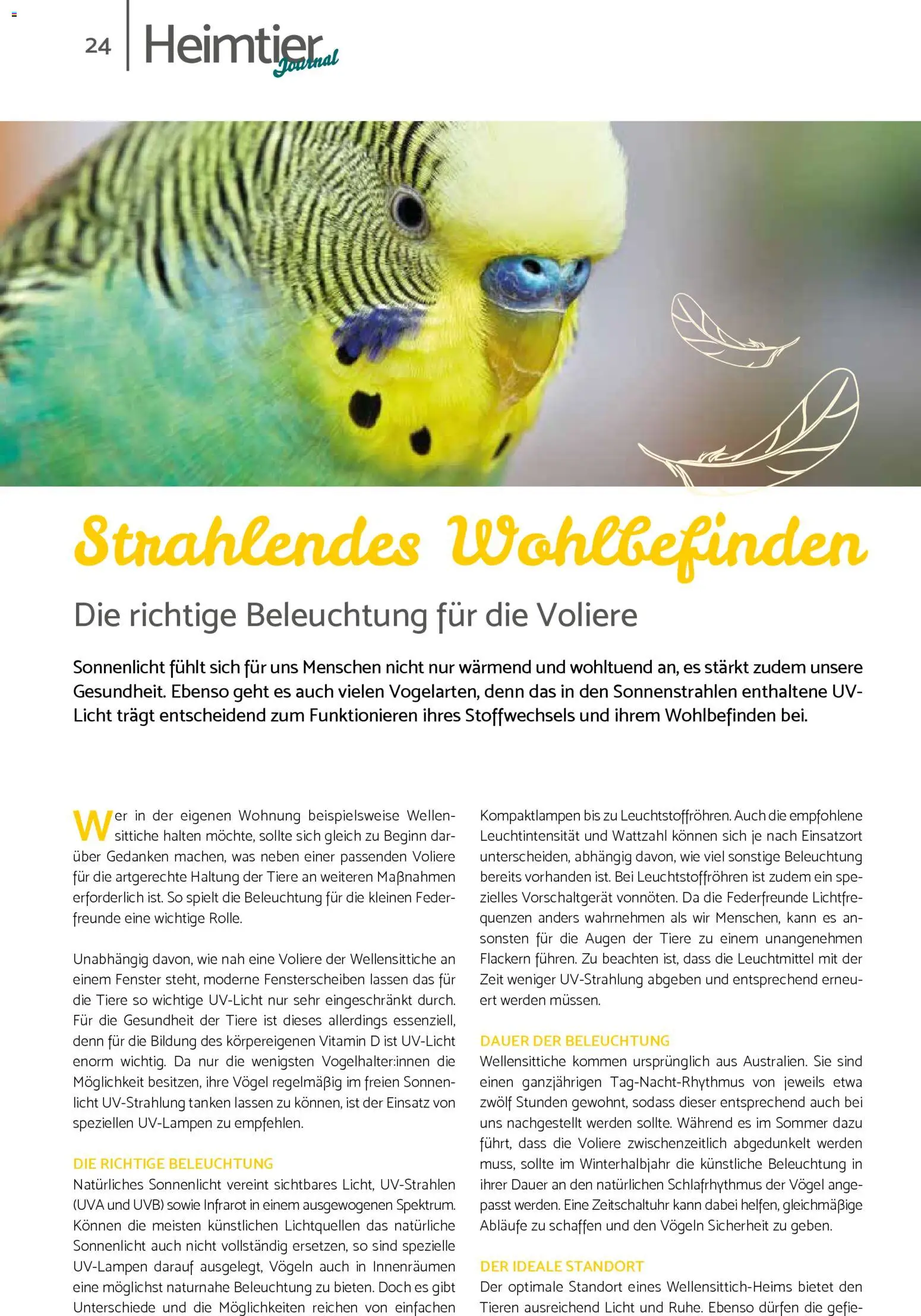 zookauf Prospekt 	 – gültig ab 01.02.2026 | Seite: 24