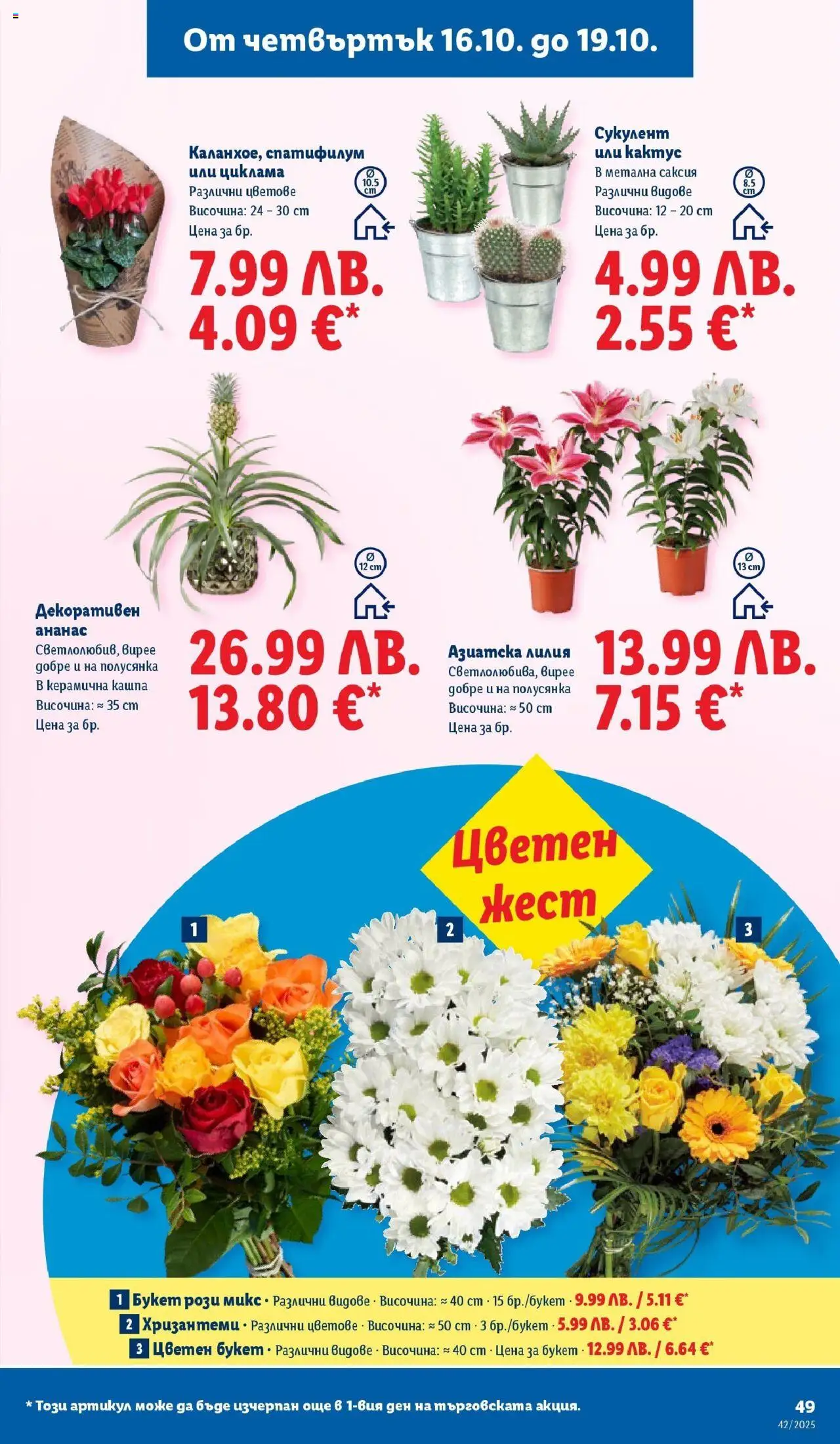 {H1} | Страница: 49 | Продукти: Кашпа, Ананас, Саксия