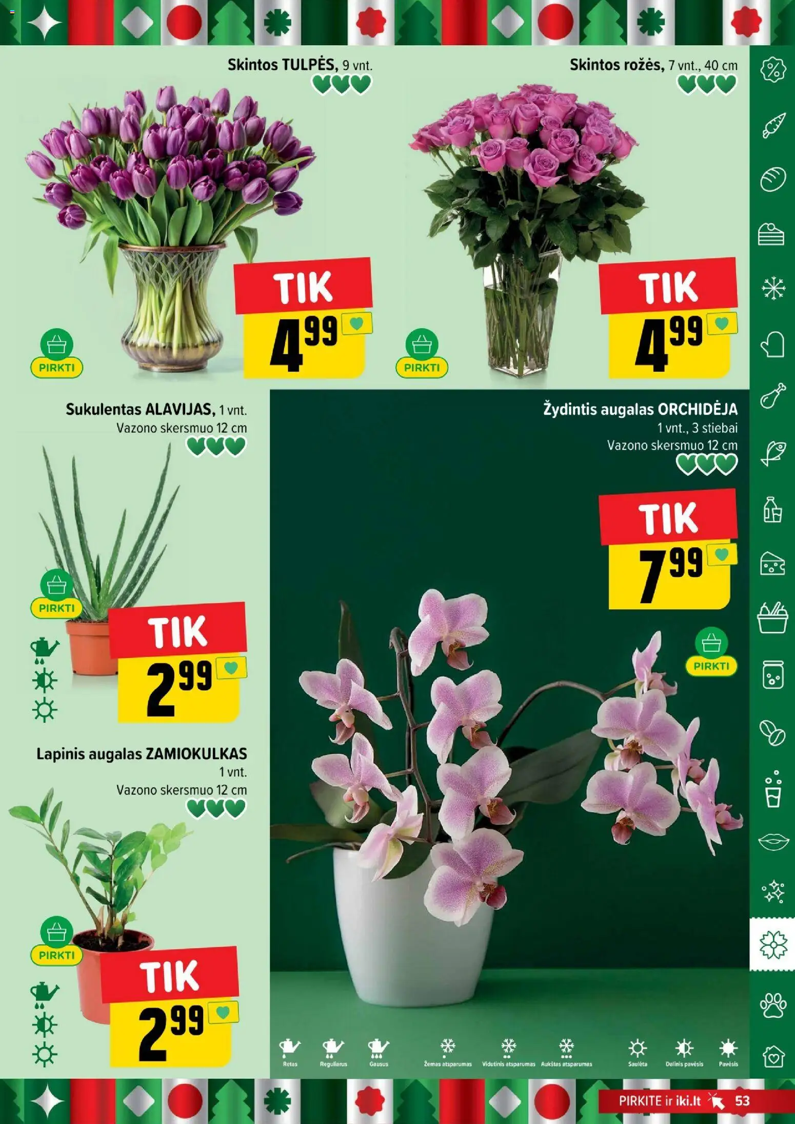 IKI akcijos nuo 29.12.2025 | Puslapis: 53