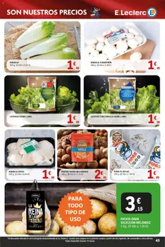 E.Leclerc - Descubre la Calidad y Frescura  │ válido desde el 18.06.2025 | Página: 43 | Productos: Παραθυρόφυλλο, Frutos secos, Παγωμένο τσάι, Bandeja