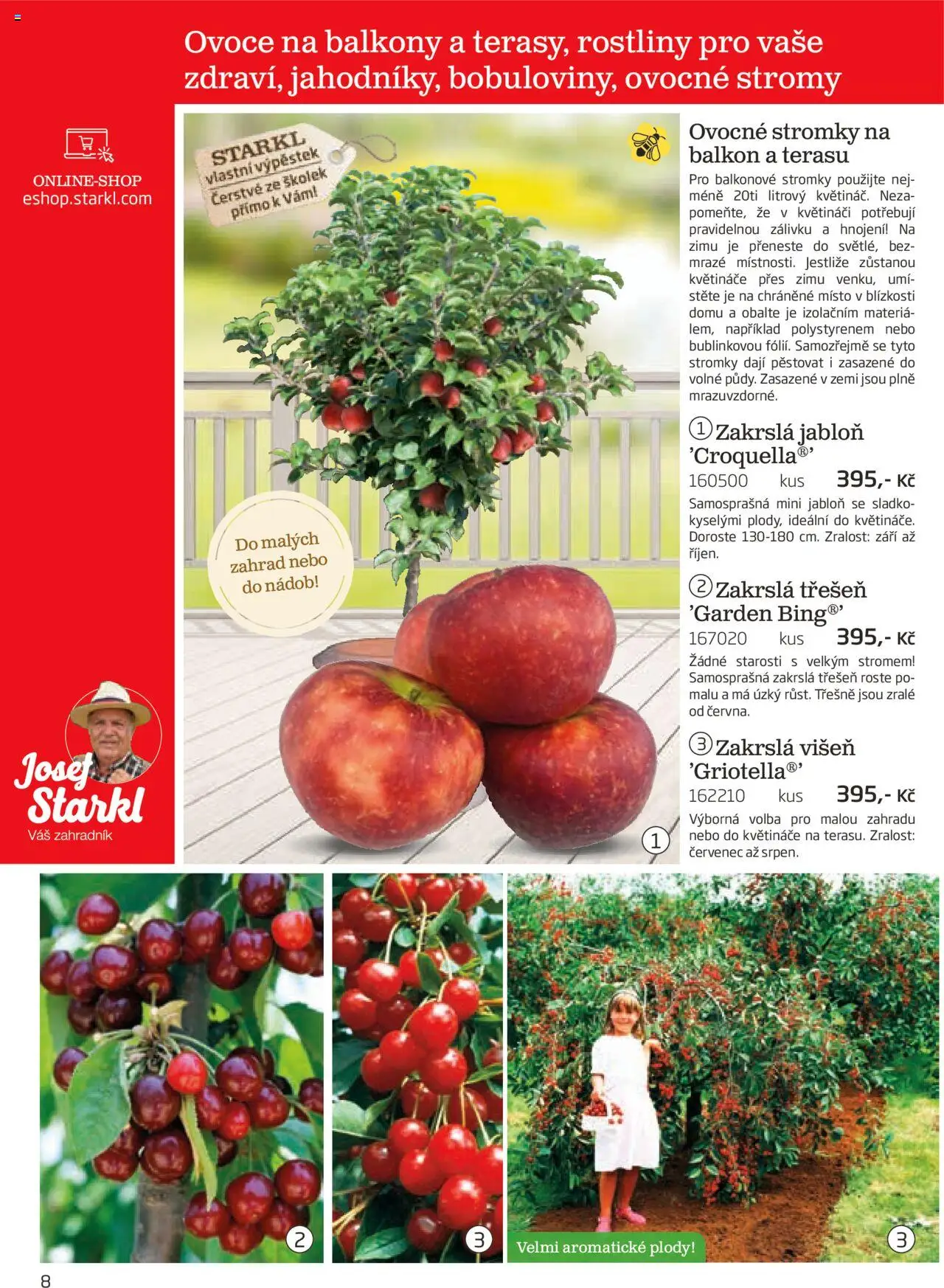 Starkl katalog podzim 2025 od 01.08.2025 | Strana: 8 | Produkty: Ovoce, Květináče, Třešně, Rostliny