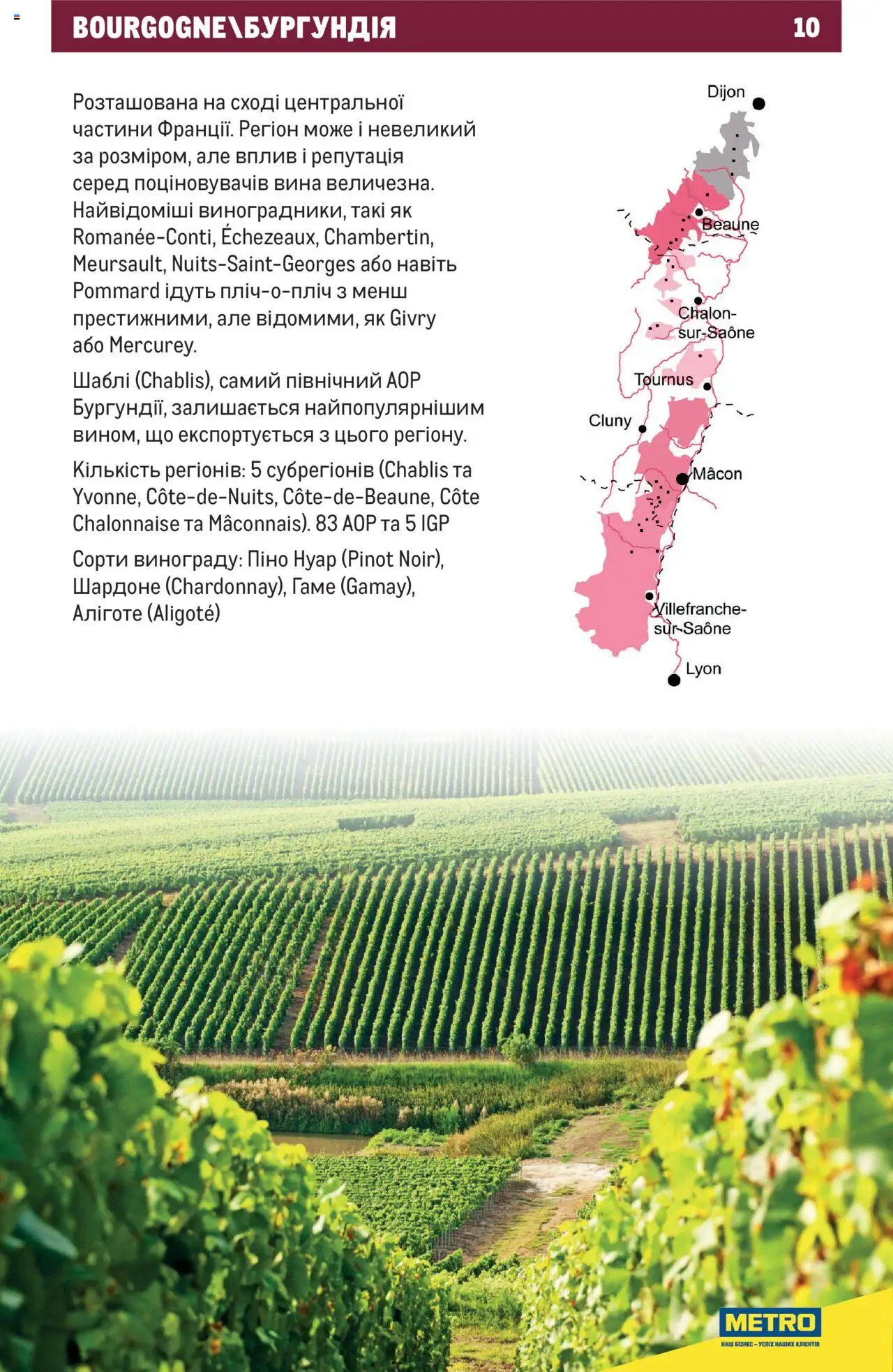 Metro Kаталог - дійснийкції з 01.07.2025 | Сторінка: 10