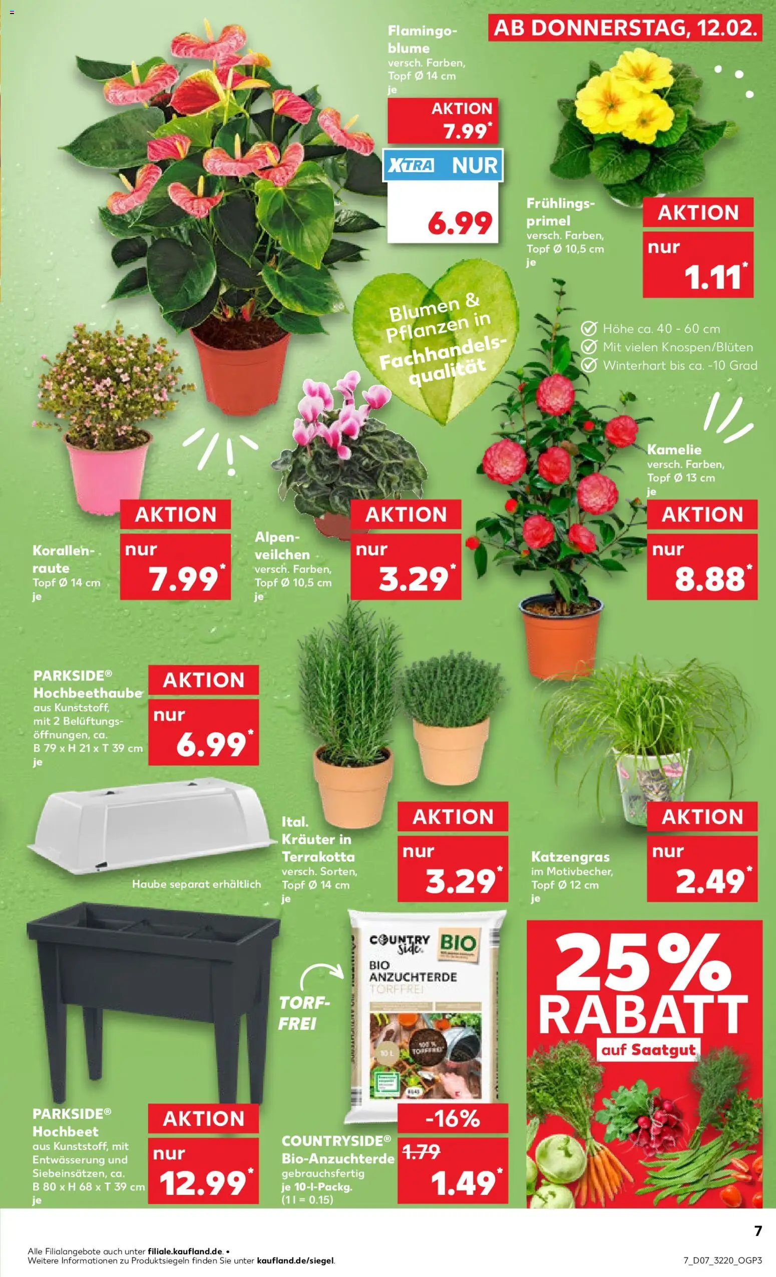 Kaufland prospekt Frankfurt (Oder)	 – gültig ab 12.02.2026 | Seite: 7 | Produkte: Hochbeet, Blumen