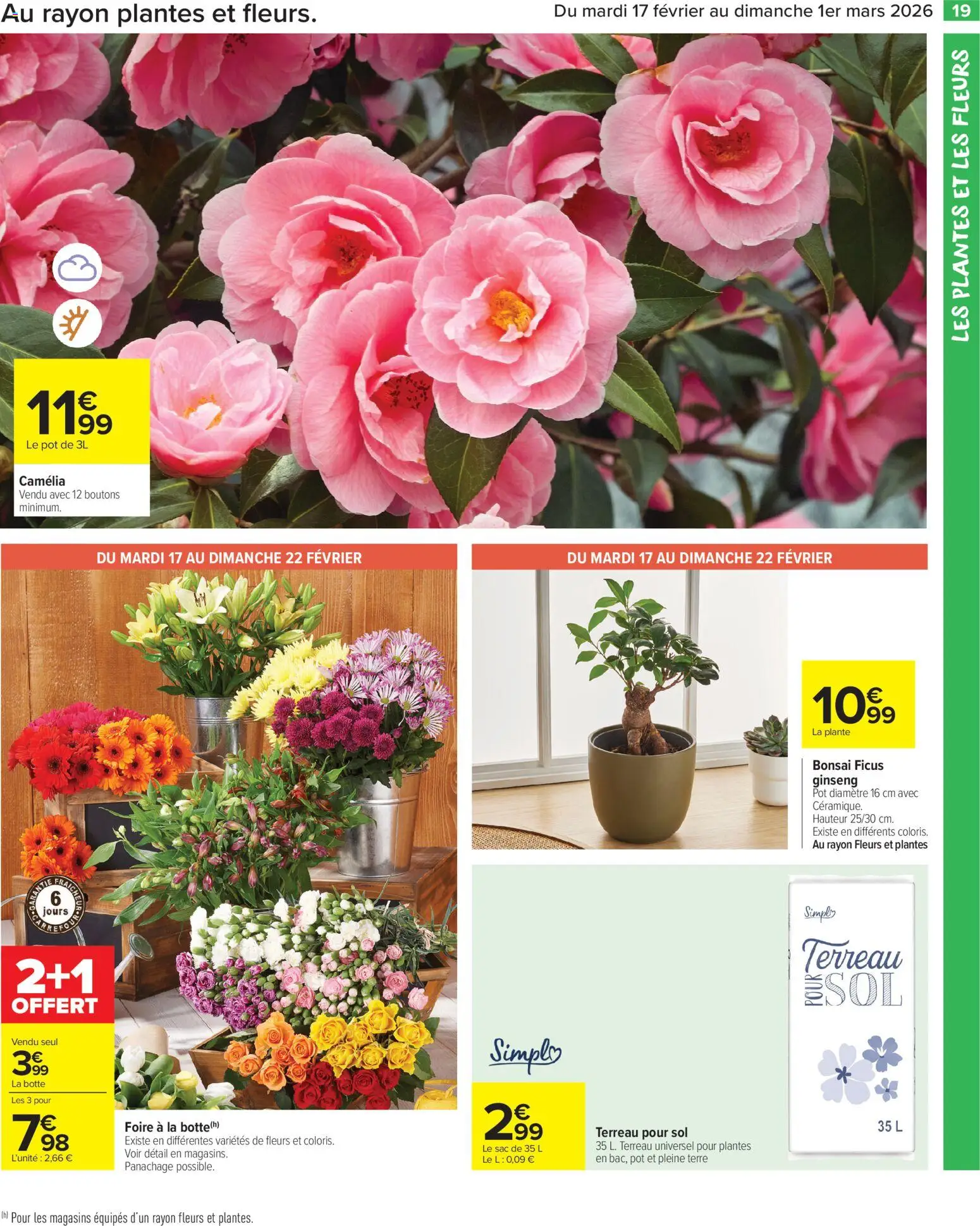 {H1} | Page: 21 | Produits: Camelia, Terreau Universel, Plantes, Terreau