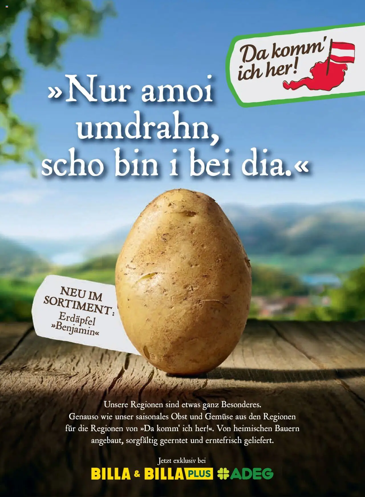 Billa AT akciós ujság - amely érvényes a következő dátumtól: 01.10.2025 | Oldal: 174