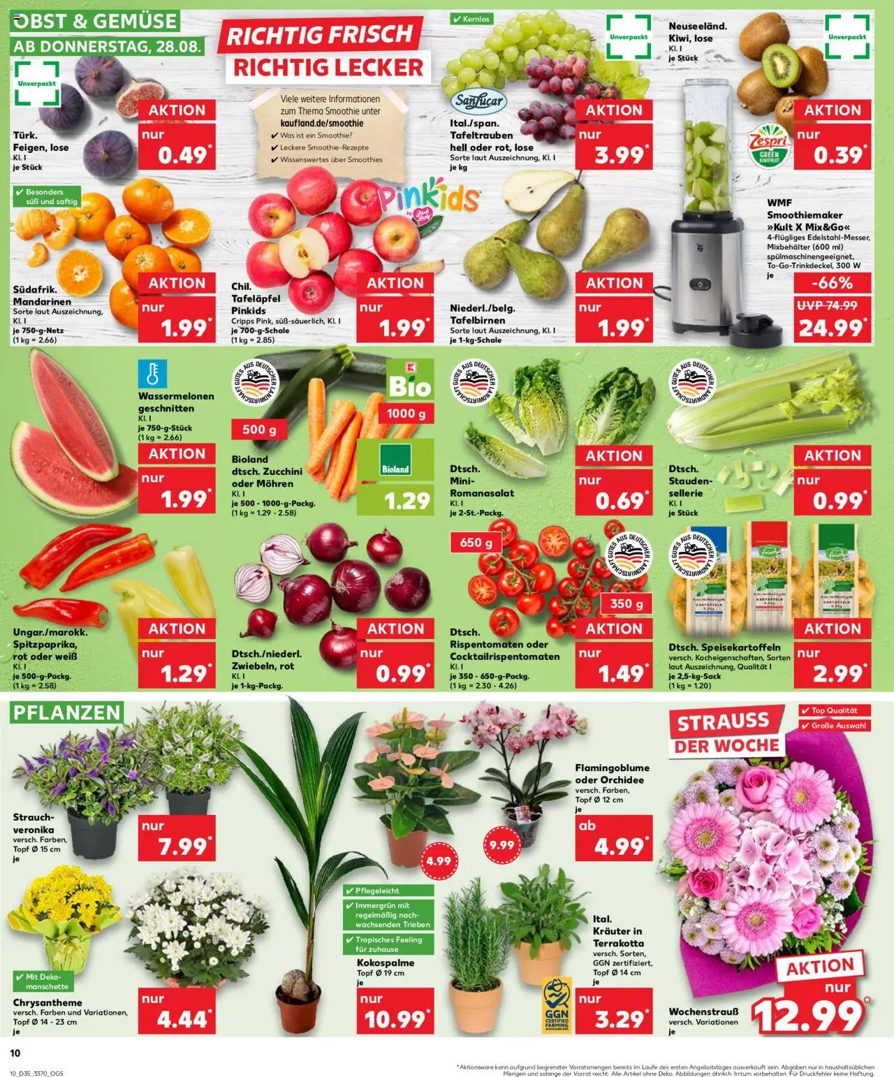 Kaufland prospekt Frankfurt (Oder)	 - gültig ab dem 28.08.2025 | Seite: 10 | Produkte: Orchidee, Mohren, Gemüse, Zucchini
