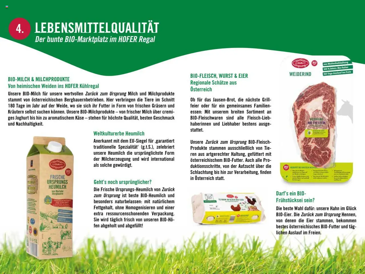 Hofer AT akciós ujság - amely érvényes a következő dátumtól: 23.07.2025 | Oldal: 10 | Termékek: Grill, Joghurt