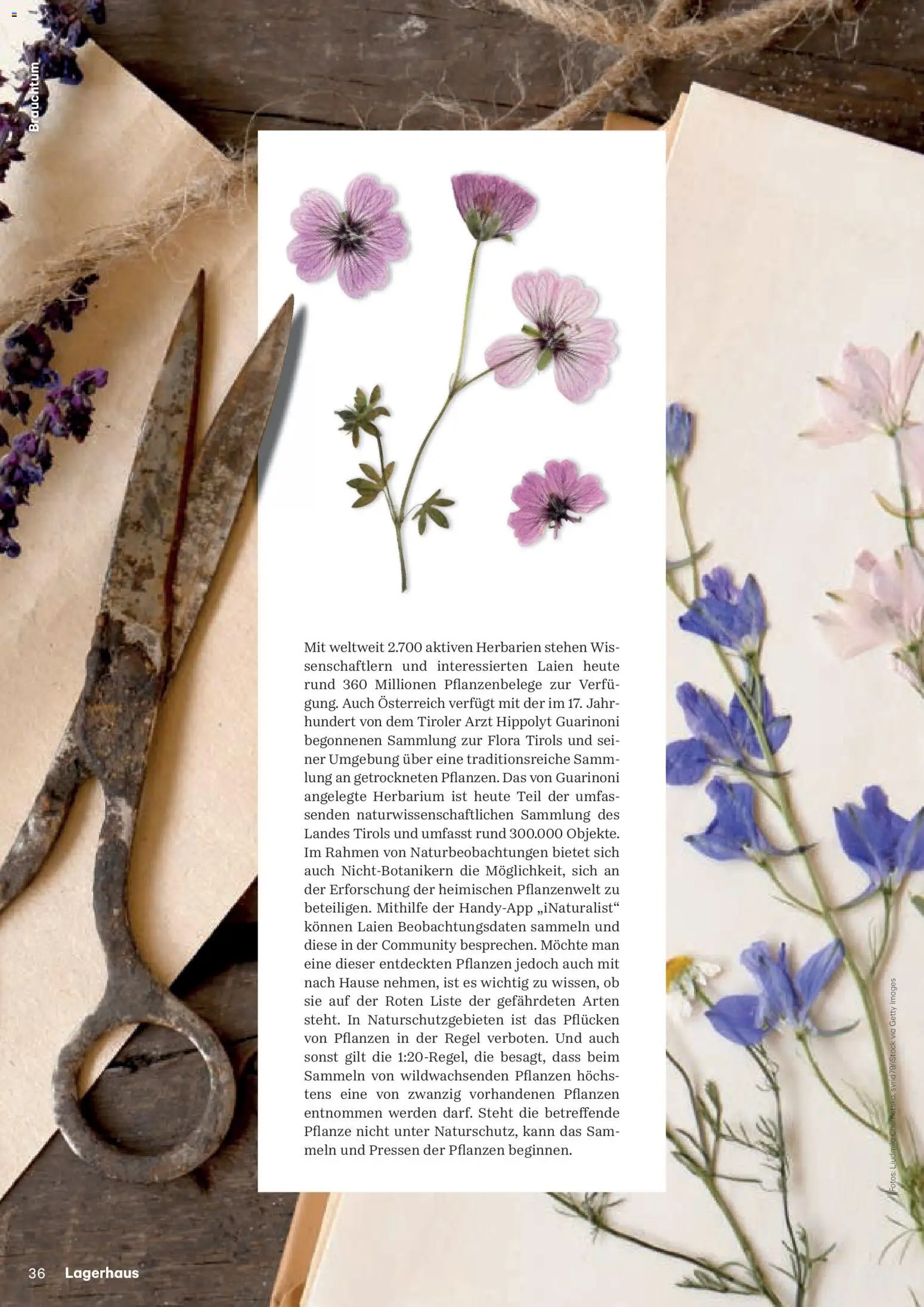 Lagerhaus Fürs Leben am Land gültig ab 01.11.2025 | Seite: 36