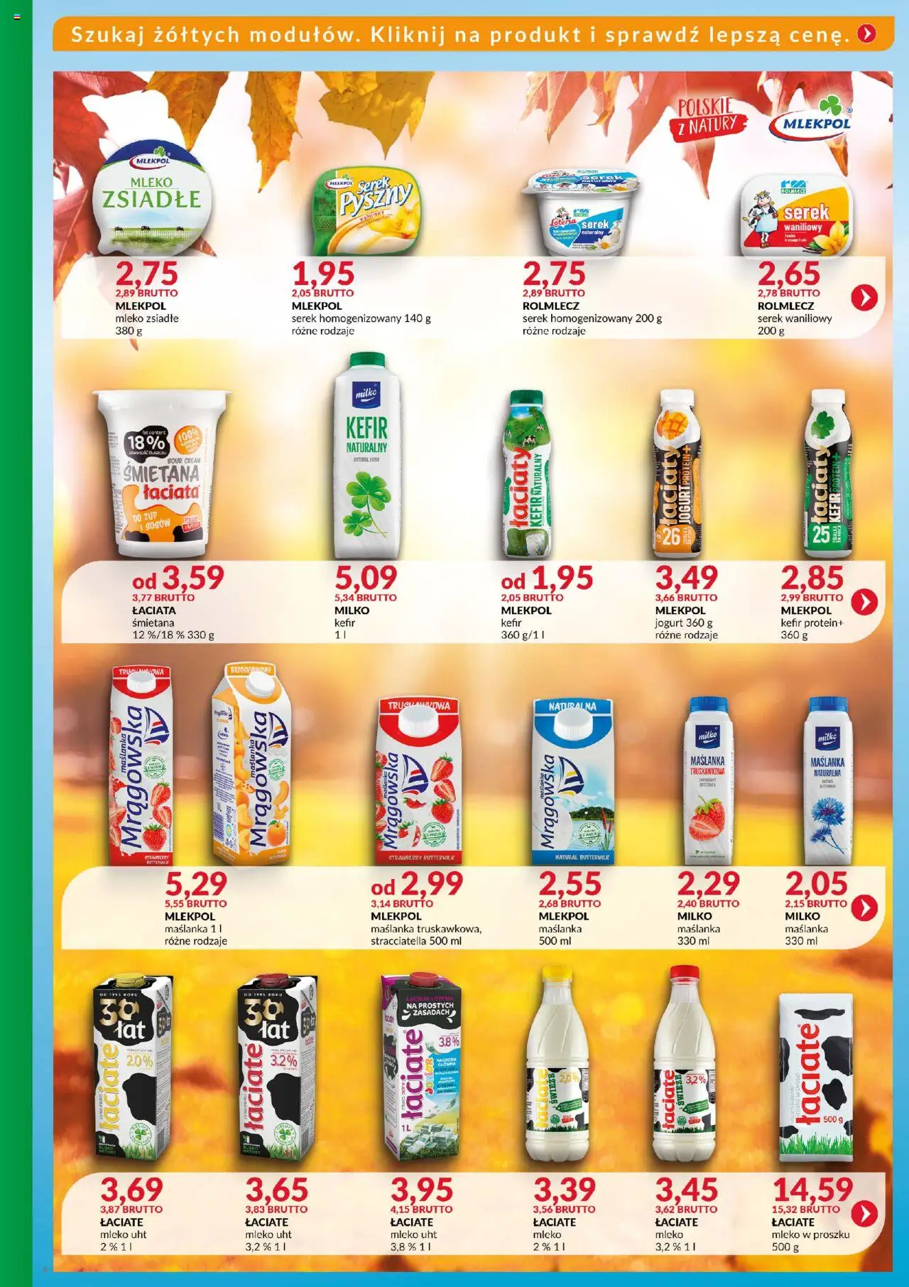 Eurocash Gazetka - Katalog Artykułów Spożywczych od 19.10.2025 | Strona: 9 | Produkty: Serek homogenizowany, Maślanka, Serek, Jogurt