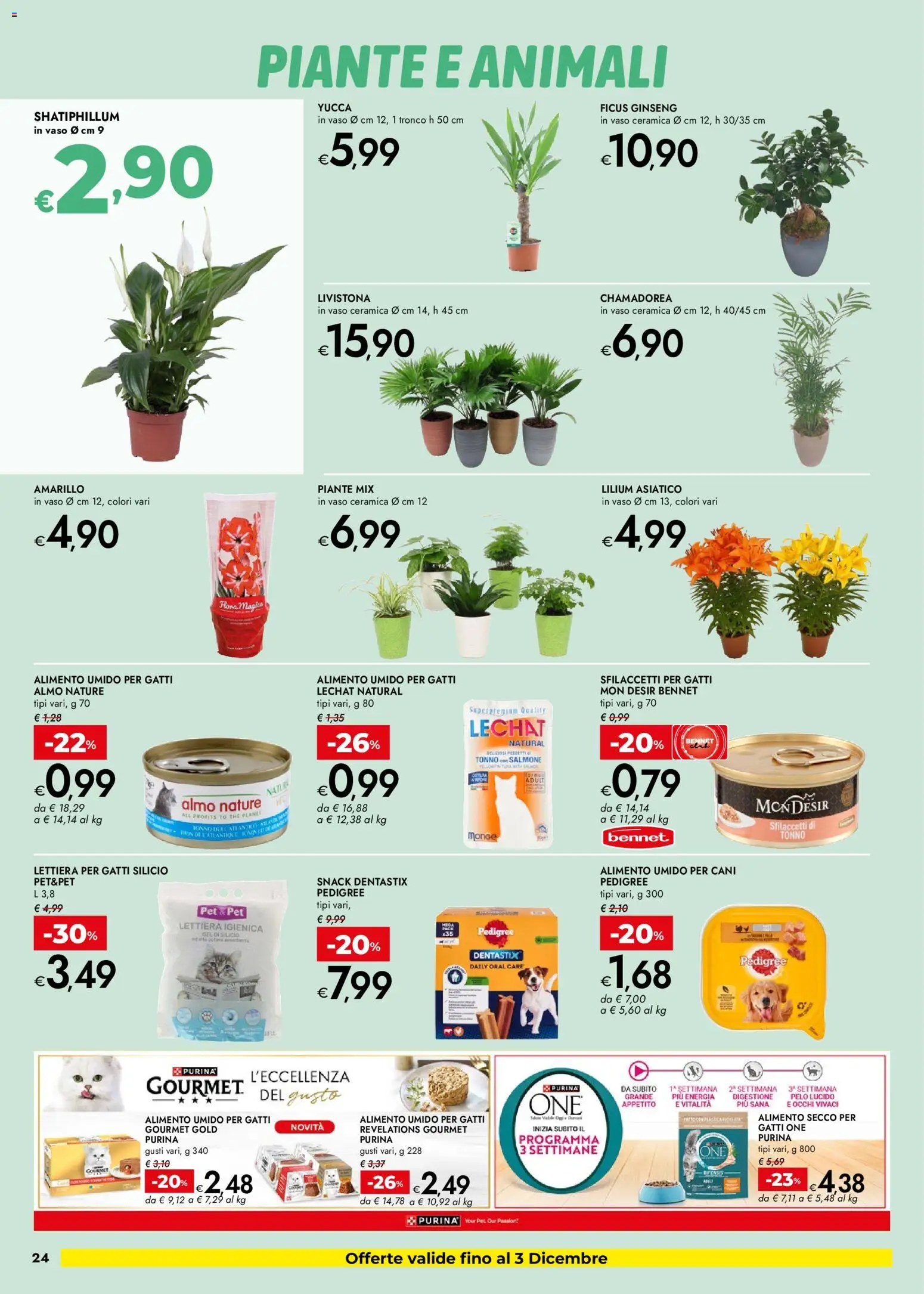 Volantino bennet del 20.11.2025 | Pagina: 24 | Prodotti: Lettiera per gatti, Salmone, The, Vaso