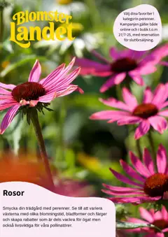Blomsterlandet - erbjudanden - Förhandsvisning av reklamblad från butik Blomsterlandet aktuell från 23.07.2025
