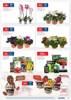 MAXIMA leidinys galioja nuo 20.01.2026 | Puslapis: 13 | Prekių: Sėklos, Jogurtas, Sūris