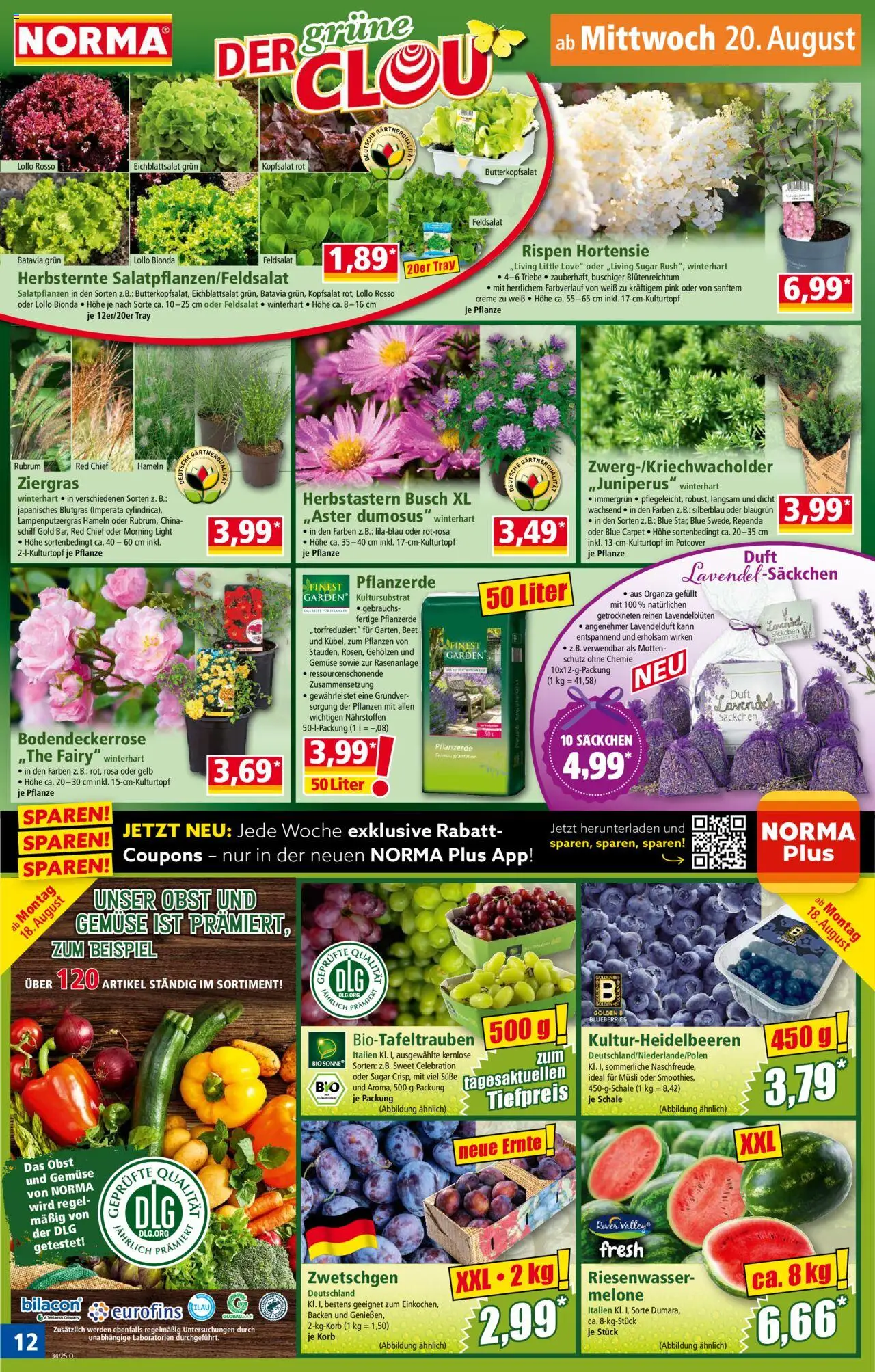 Norma Prospekt 	 - gültig ab dem 18.08.2025 | Seite: 12 | Produkte: Pflanzerde, Gemüse, Obst, Lavendel