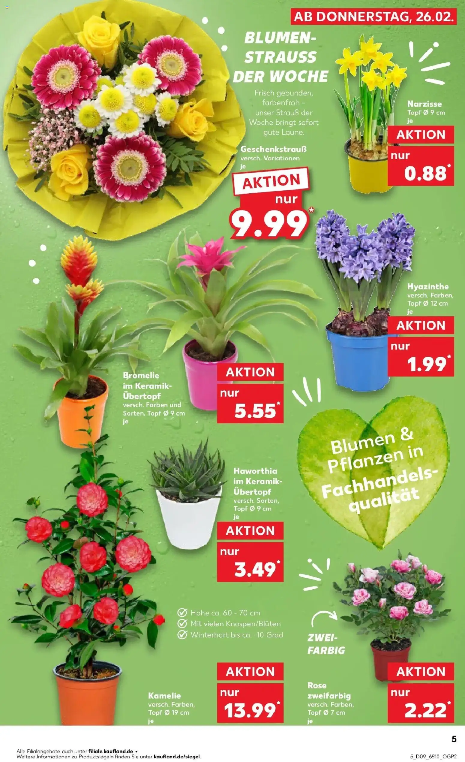 Kaufland prospekt Herne	 – gültig ab 26.02.2026 | Seite: 5 | Produkte: Blumen