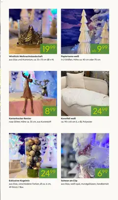 Pflanzen-Kölle Weihnachtsmarkt-Prospekt ab 10.11.2025 gültig | Seite: 3 | Produkte: Box