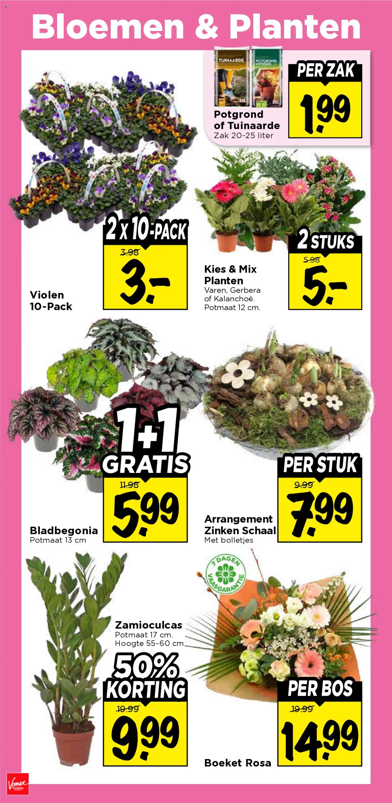 {H1} | Pagina: 37 | Producten: Schaal, Bloemen, Zak, Bolletjes