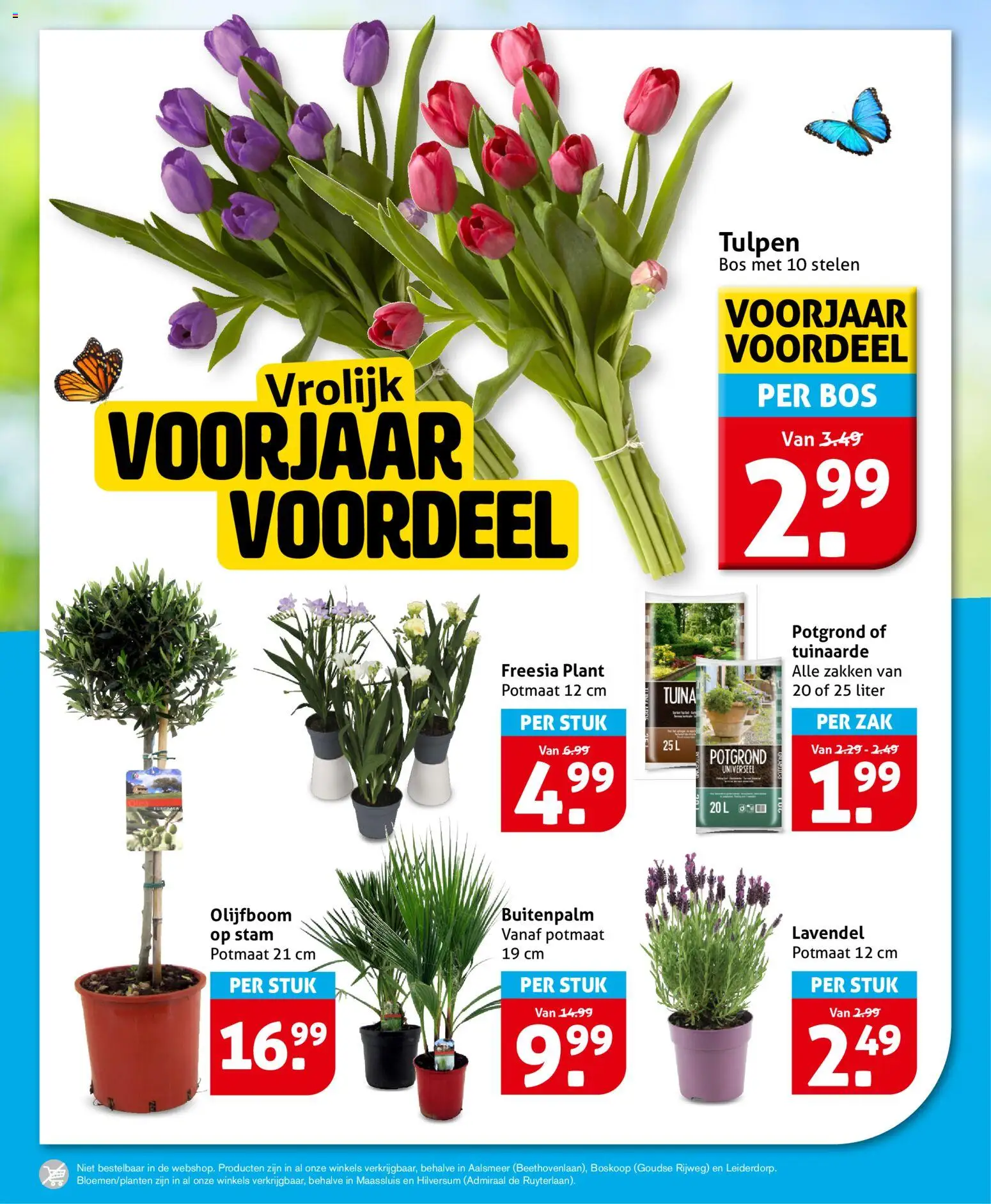 {H1} | Pagina: 22 | Producten: Zak