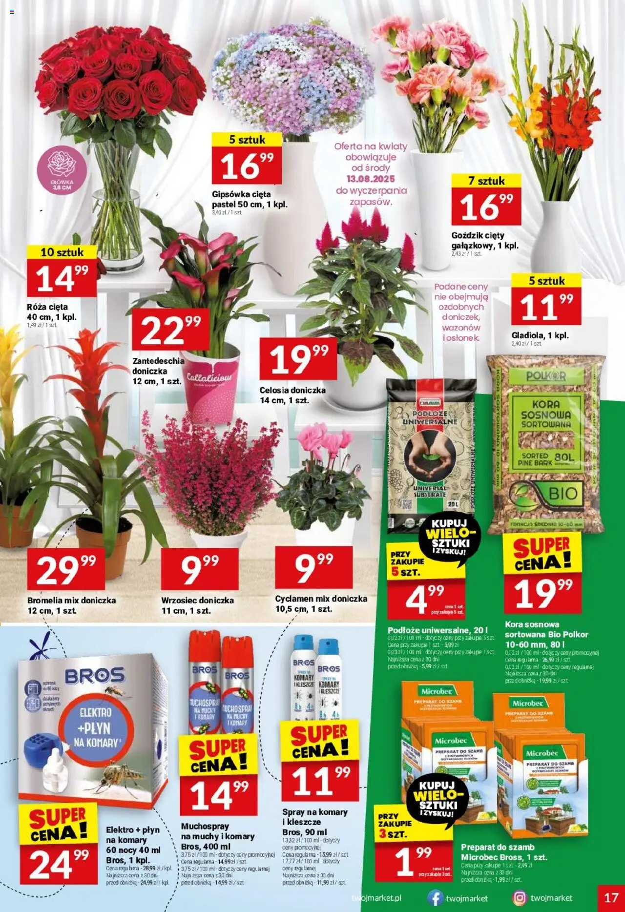 Twój Market Gazetka od 13.08.2025 | Strona: 17 | Produkty: Goździk, Doniczka, Kwiaty, Sól