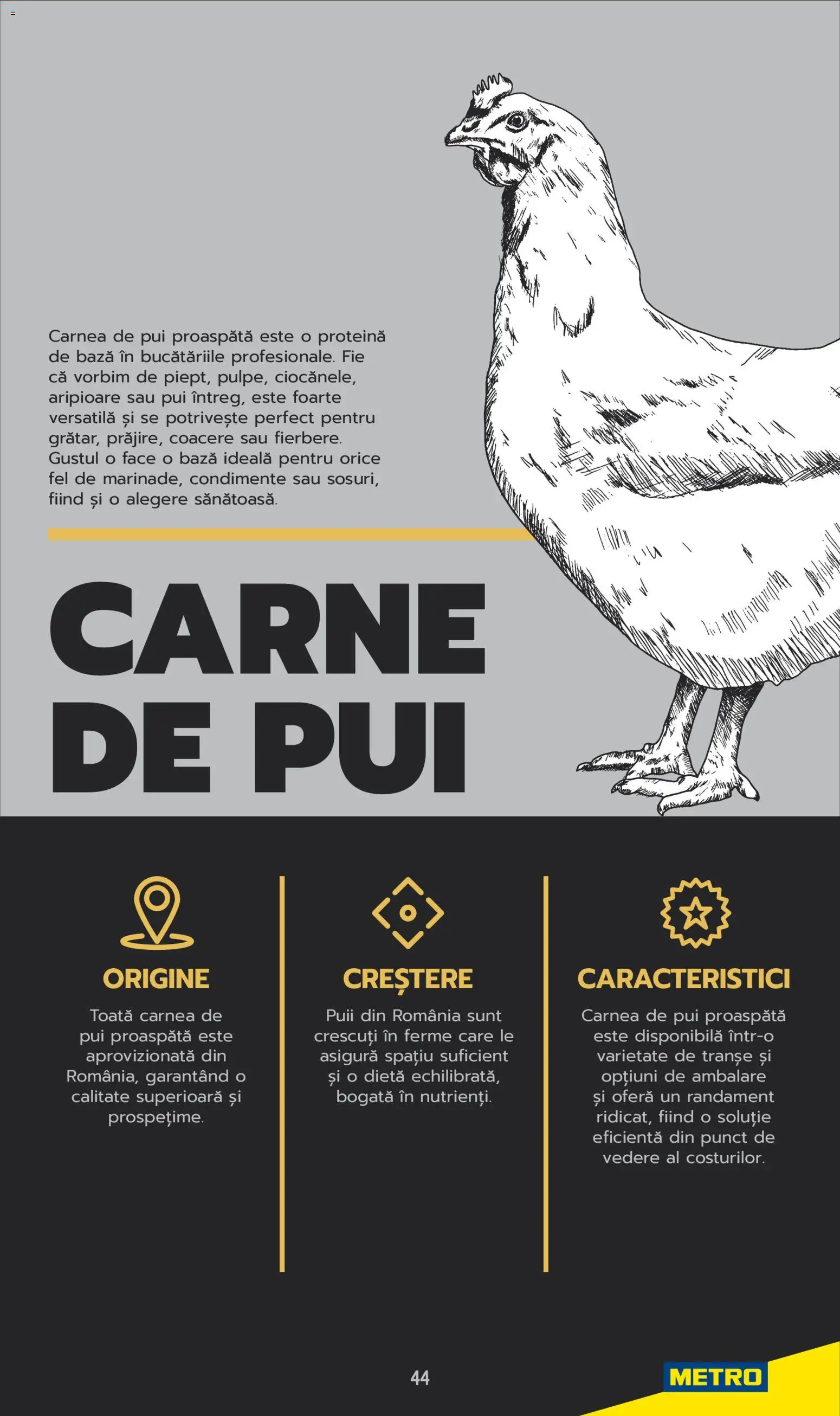 Noul catalog Metro – valabil de la 03.06.2025 | Pagină: 44 | Produse: Hacıyatmaz Kedi Oyuncağı, Carne De Pui, Condimente