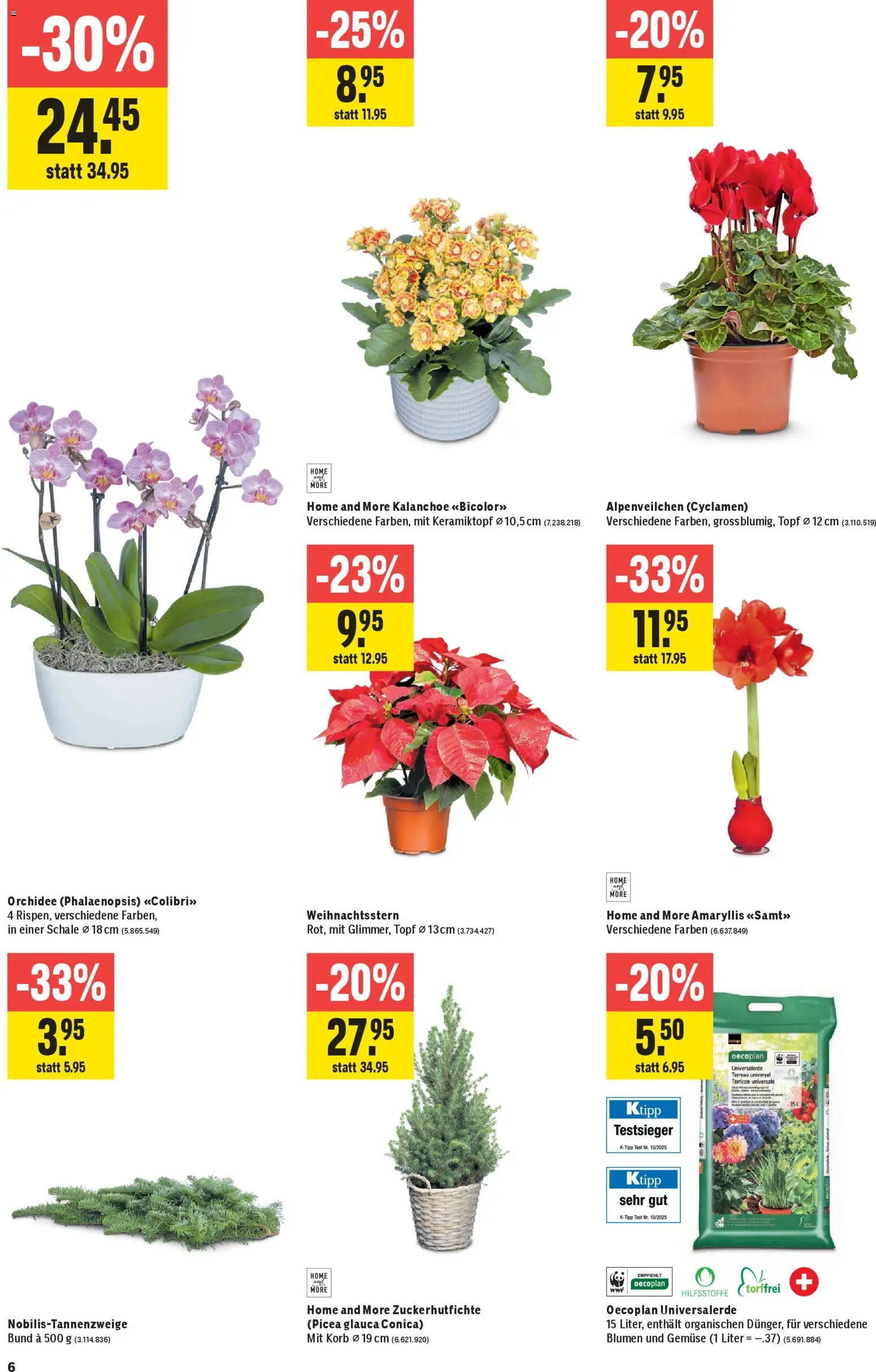 Jumbo Aktionen – gültig ab 06.11.2025 | Seite: 6 | Produkte: Korb, Gemüse