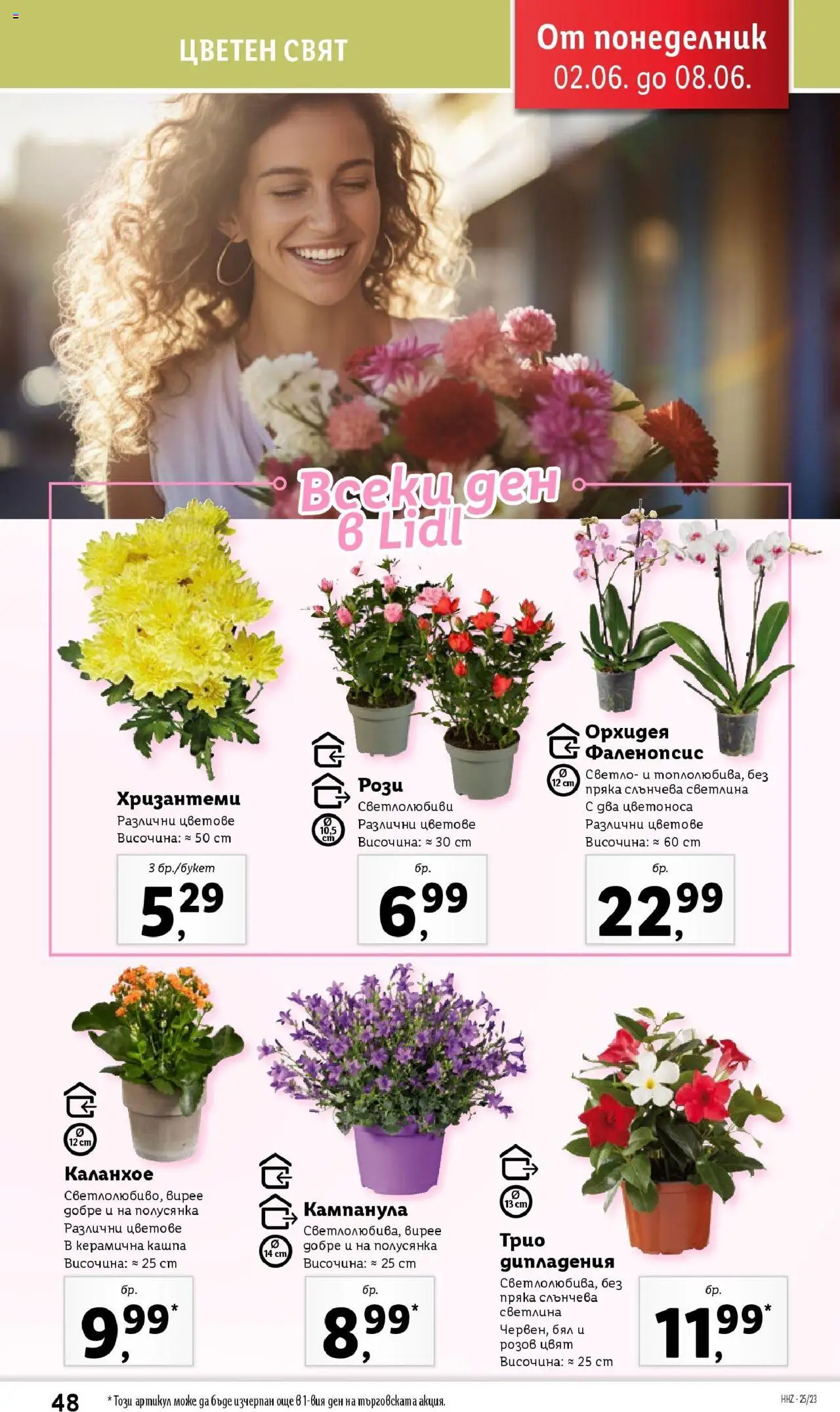  | Страница: 48 | Продукти: Кашпа, Орхидея