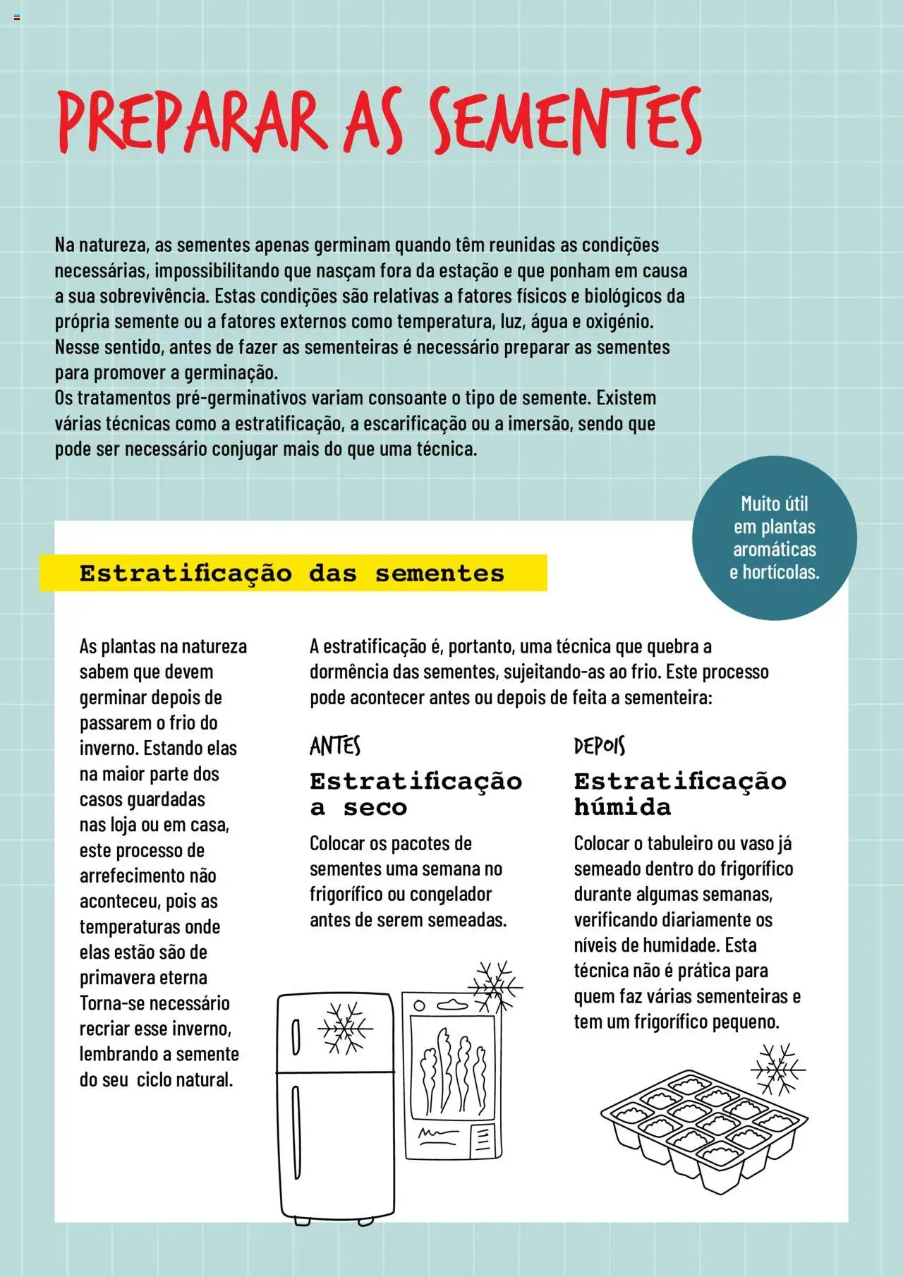 BricoMarché Sementeiras │ válido de 17.01.2024 | Página: 2 | Produtos: Frigorífico, Congelador, Vaso