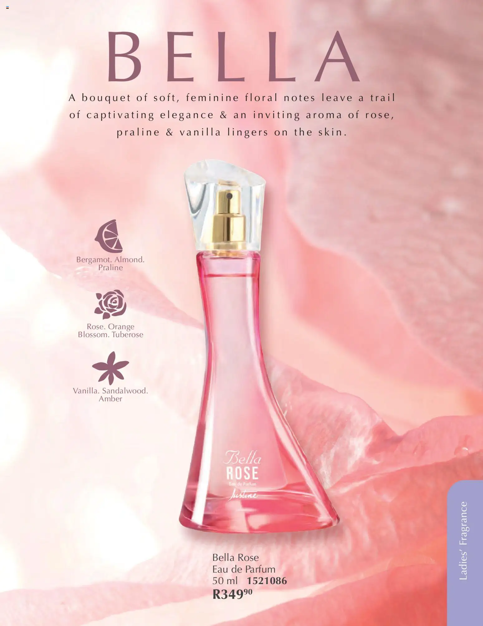 New Justine catalogue – valid from 01.02.2026 | Page: 54