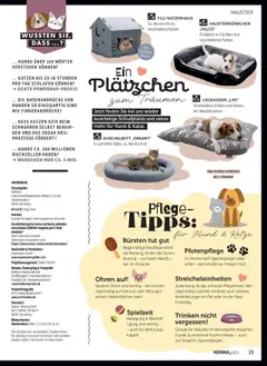 Norma NORMAgazin September/Oktober 2025 ab 01.09.2025 gültig | Seite: 23 | Produkte: Wattestäbchen, Kissen, Wasser