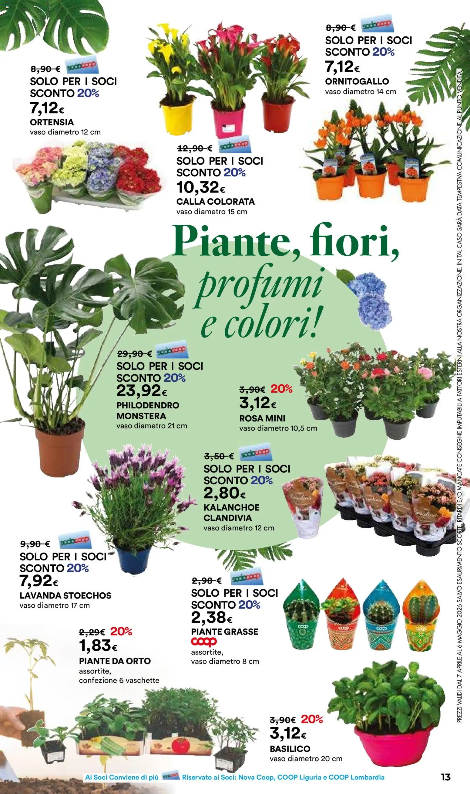 Volantino Ipercoop del 07.04.2026 | Pagina: 13 | Prodotti: Data, Basilico, Lavanda, Vaso