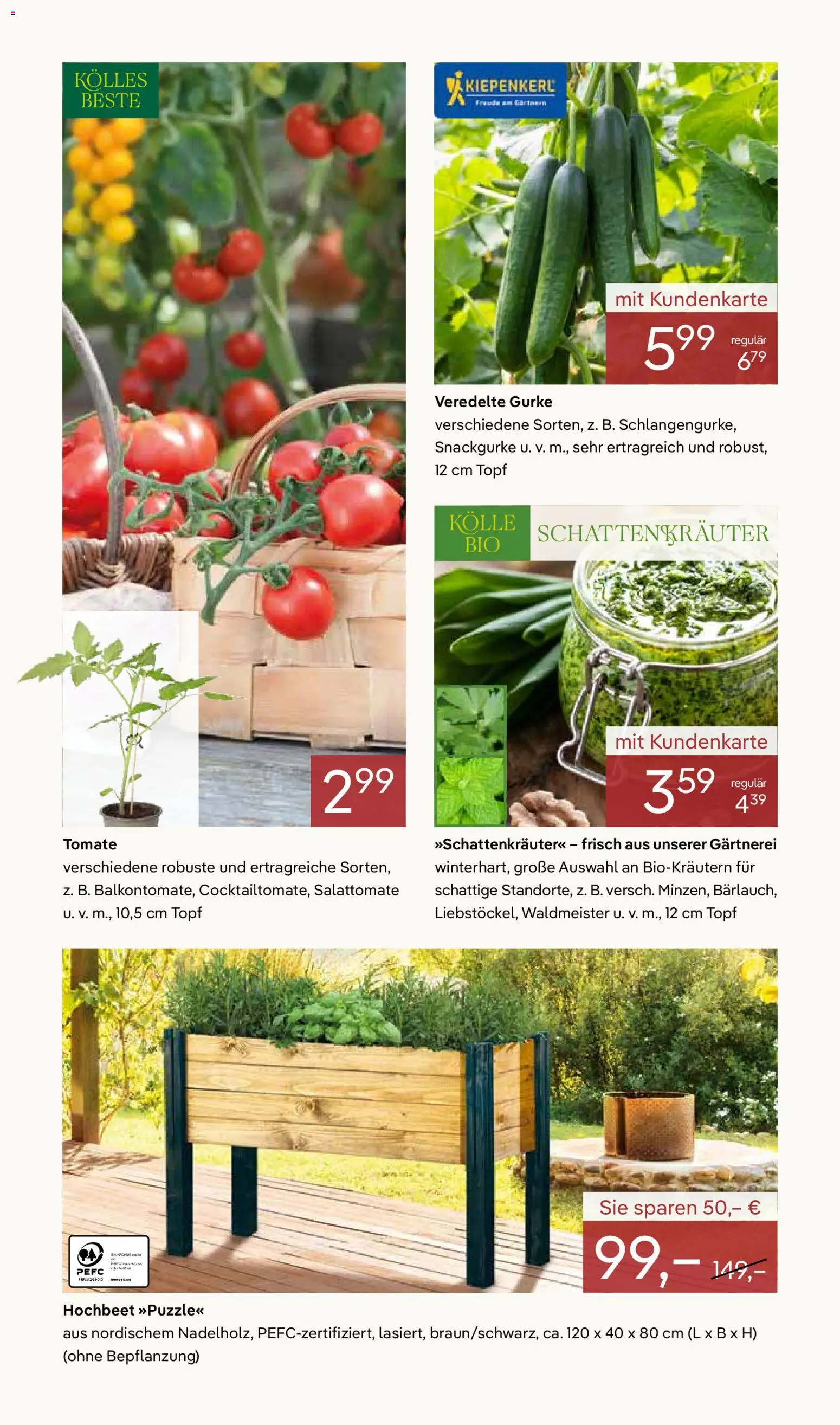 Pflanzen-Kölle Prospekt 	 – gültig ab 07.04.2026 | Seite: 8 | Produkte: Hochbeet