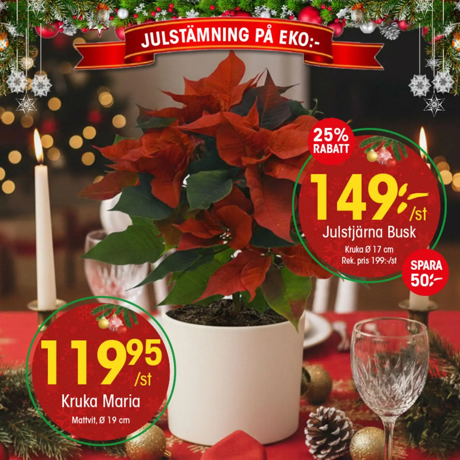 EKO reklamblad aktuell från 12.12.2025 | Sida: 2 | Produkter: Kruka