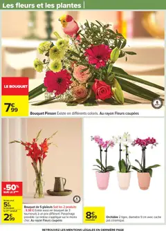  | Page: 85 | Produits: L'orchidée, Plantes, Orchidée
