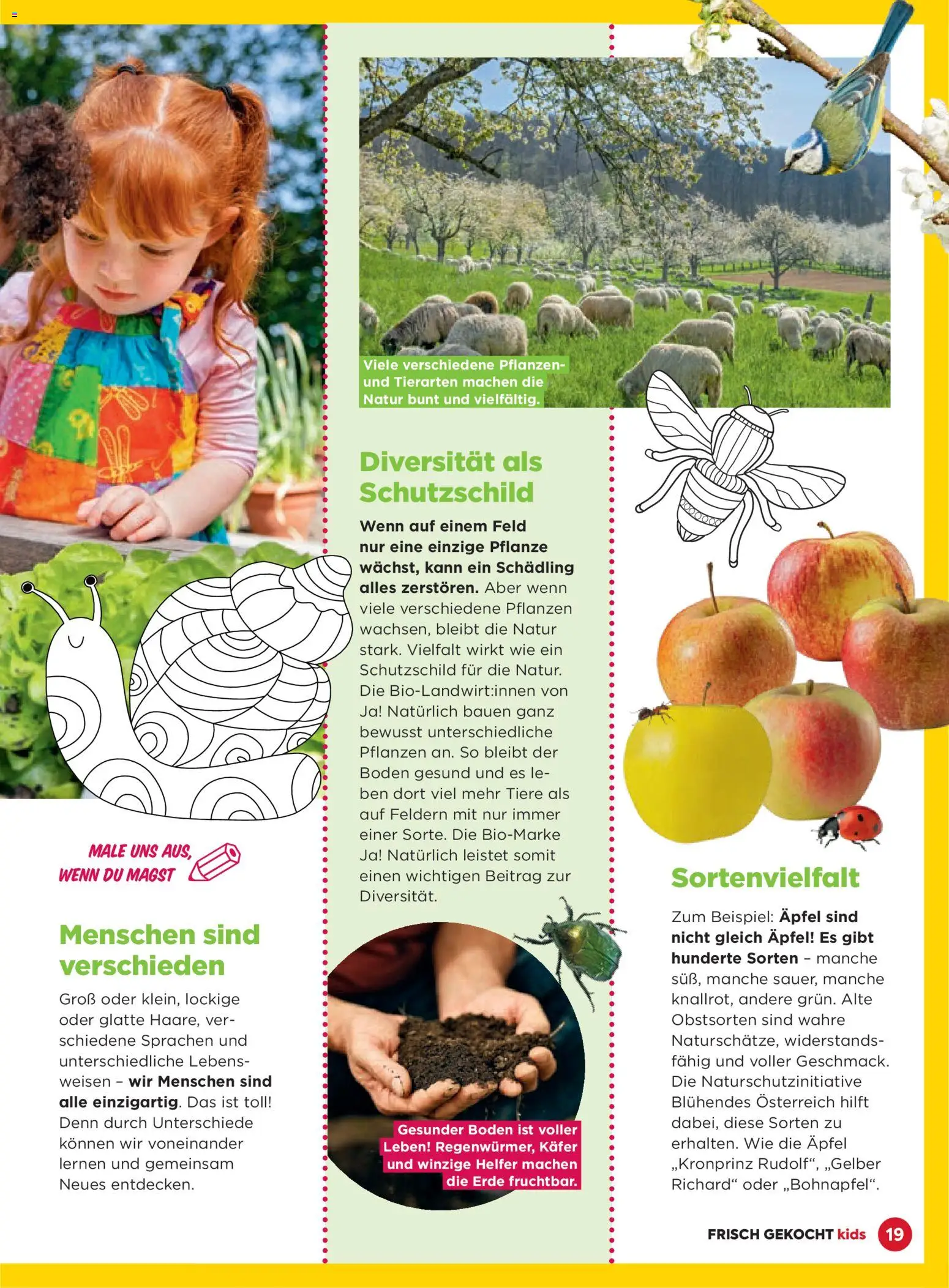 Billa Frisch Gekocht Kids gültig ab 01.03.2026 | Seite: 19 | Produkte: Äpfel