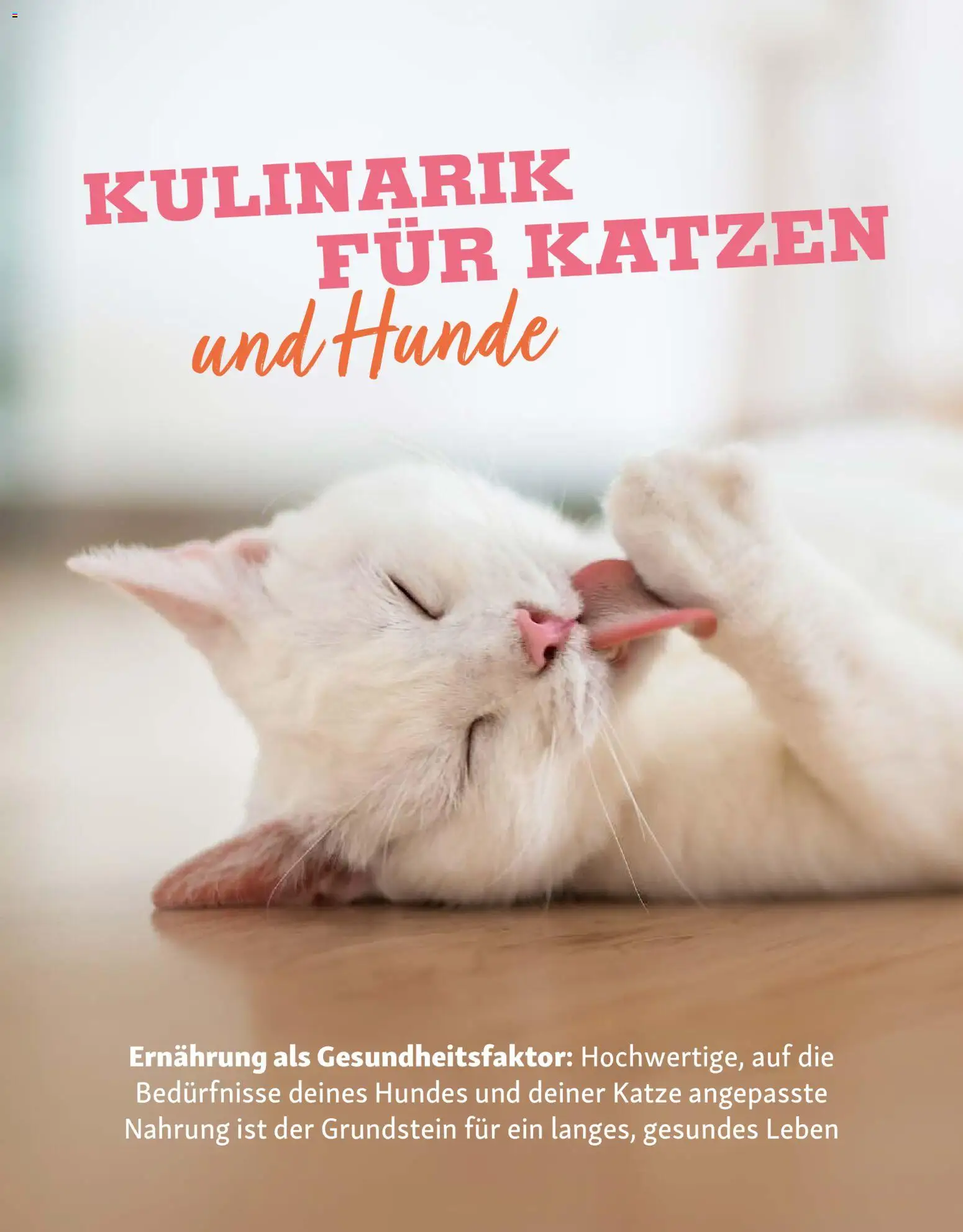 Fressnapf Friends Magazin – gültig ab 02.03.2026 | Seite: 16