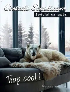 Cocktail Scandinave - Prévisualisation de Cocktail Scandinave - Catalogue valide à partir de 17.10.2025