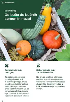 Novi Lidl katalog ponudbe – veljaven od 01.09.2025 | Stran: 8