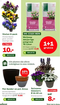 Welkoop folder - Voorbeeld van een folder van Welkoop, geldig van 16.03.2026 | Pagina: 11 | Producten: Pot