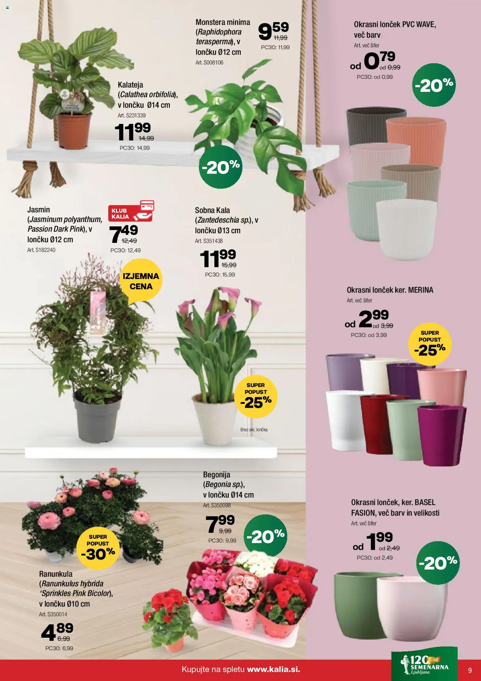 Novi Kalia katalog ponudbe – veljaven od 09.02.2026 | Stran: 9 | Izdelki: Okrasni loncek