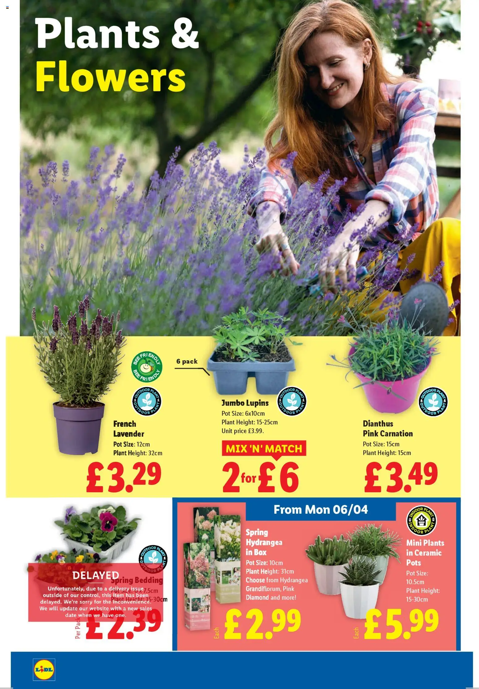 {H1} | Page: 30 | Products: Box, Pot, Door, Ceramic pot