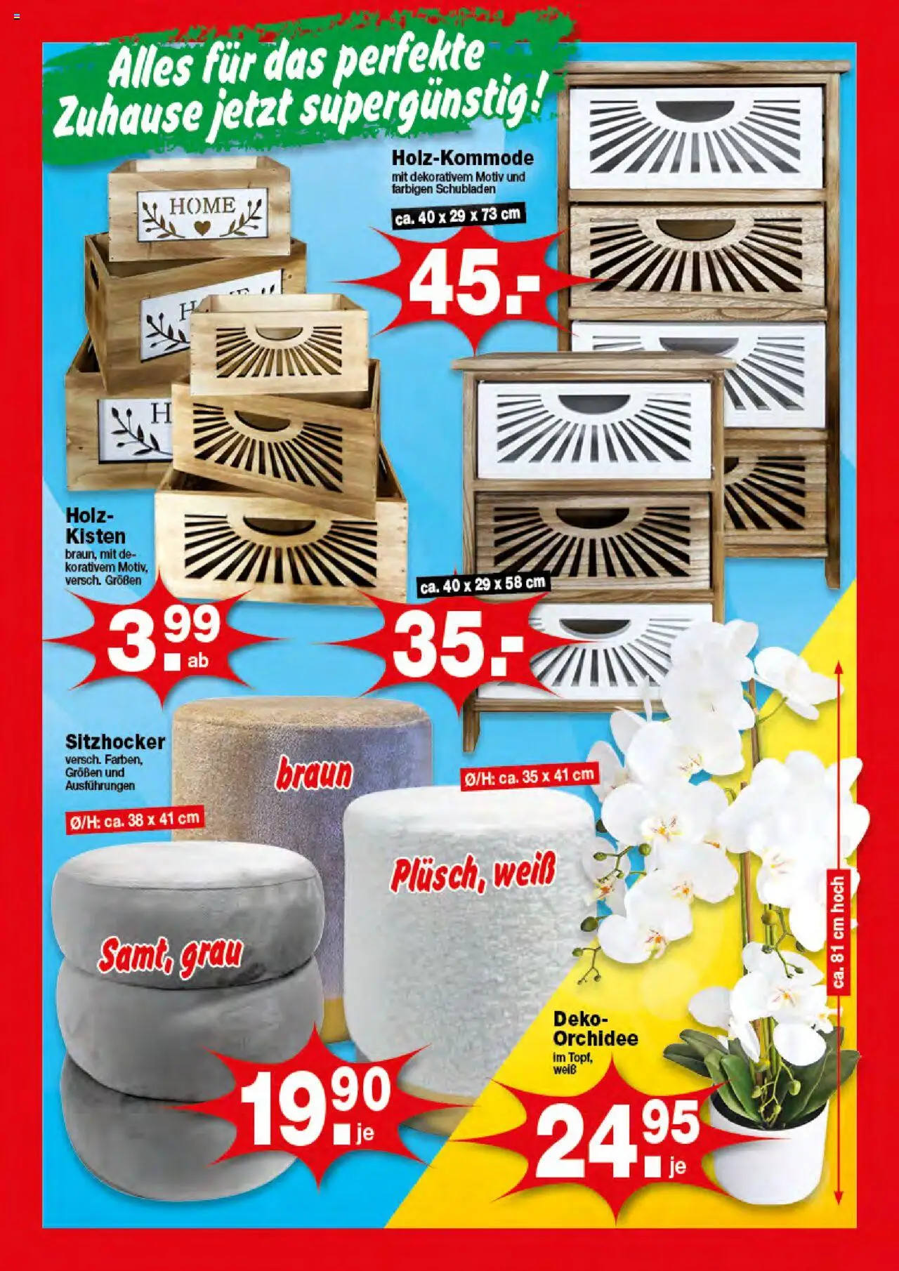 KRÜMET Prospekt - gültig ab dem 11.08.2025 | Seite: 5 | Produkte: Orchidee