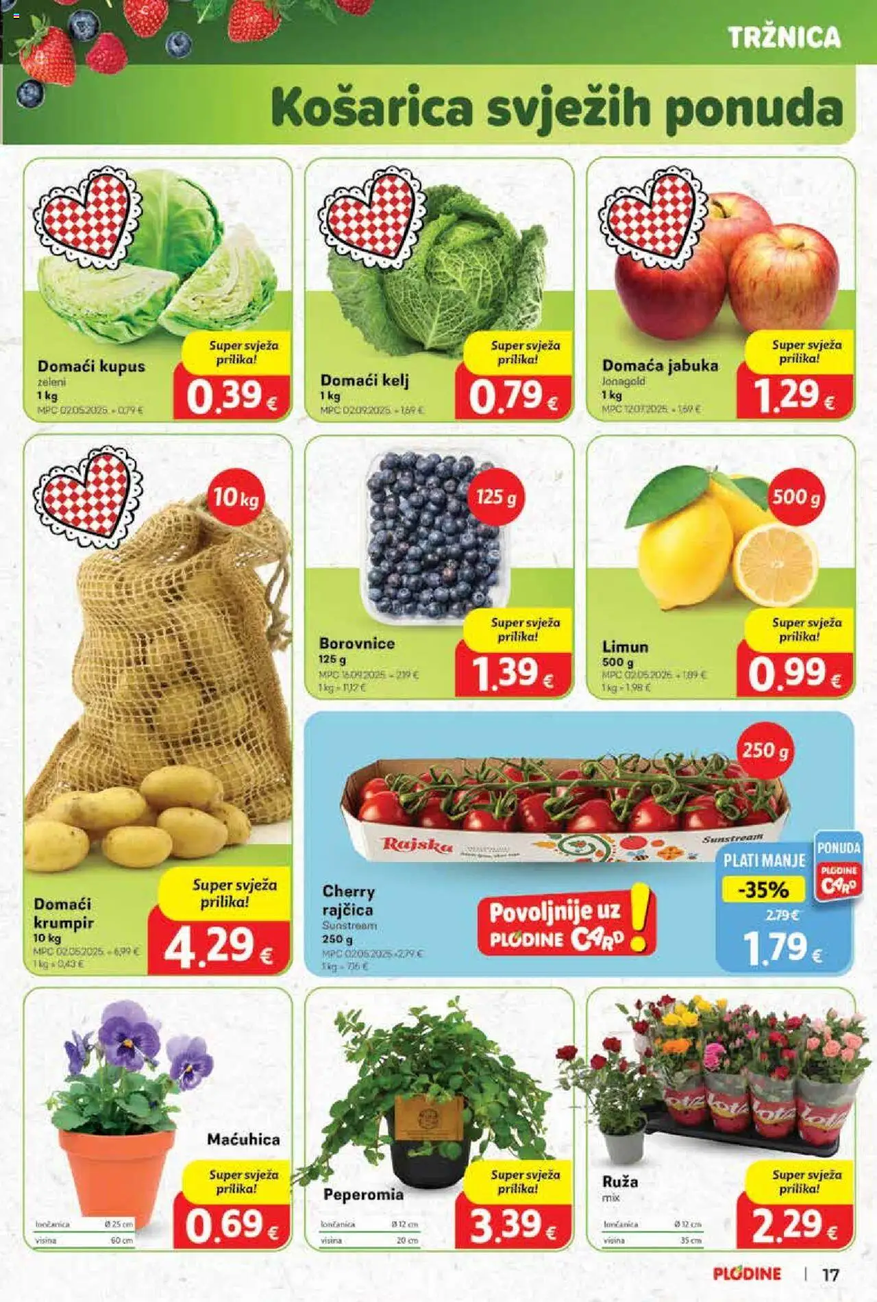 Plodine katalog | vrijedi od 01.10.2025 | Stranica: 17 | Proizvodi: Kelj, Kupus, Rajčica, Borovnice