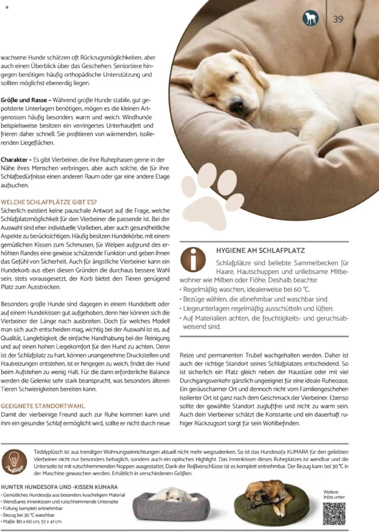 zookauf  Heimtier Journal - gültig ab dem 21.07.2025 | Seite: 39 | Produkte: Kissen, Korb