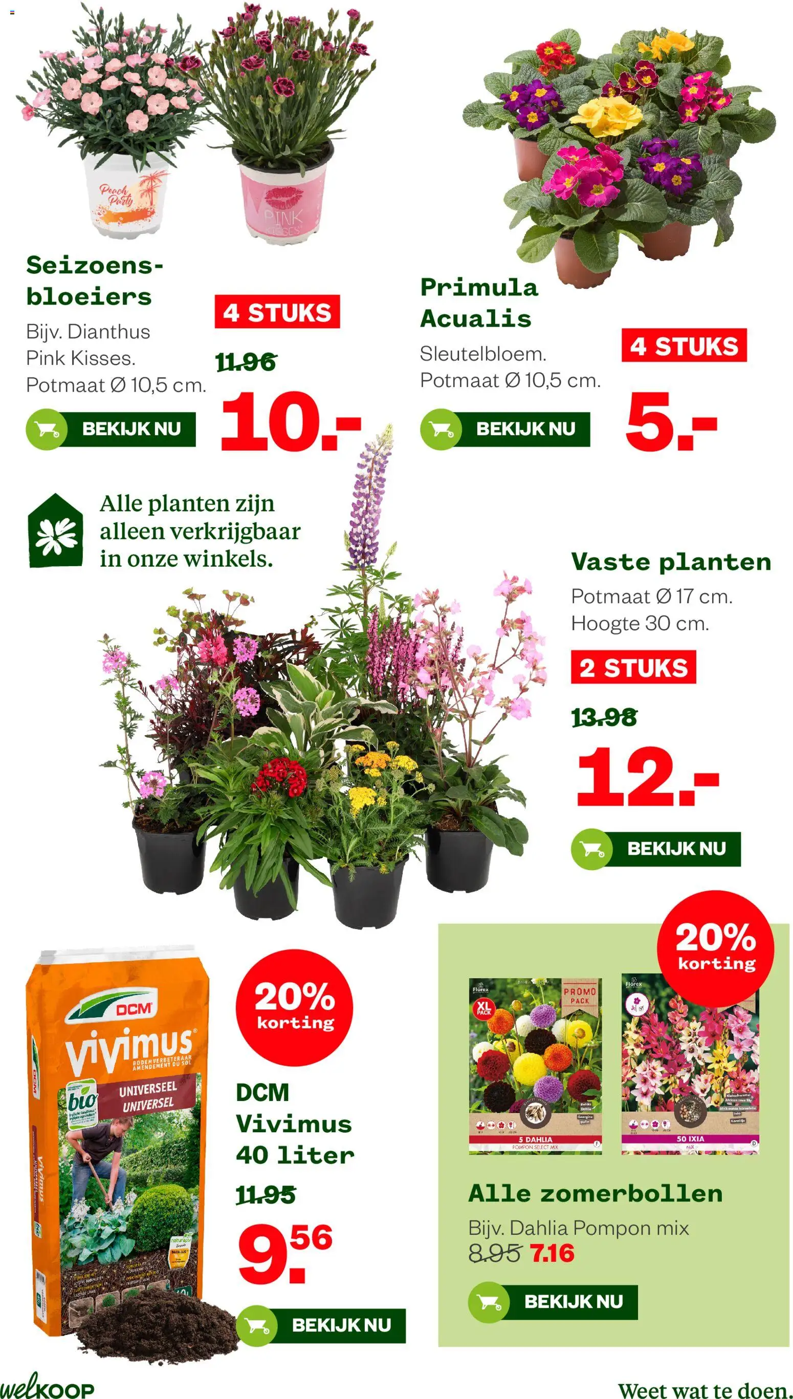 {H1} | Pagina: 13 | Producten: Trampoline