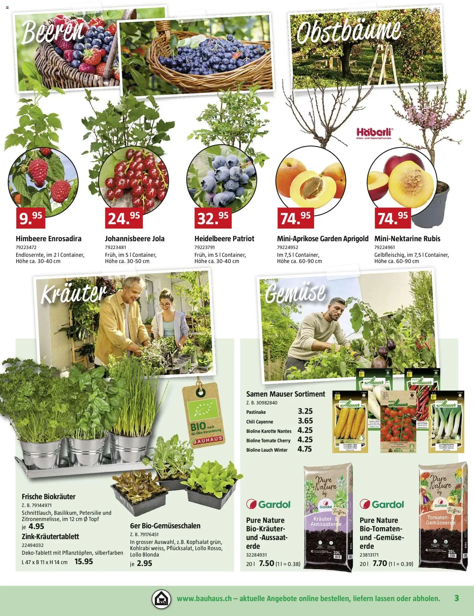 Bauhaus Aktionen – gültig ab 23.02.2026 | Seite: 3 | Produkte: Tomaten, Chili, Gemüse, Himbeere