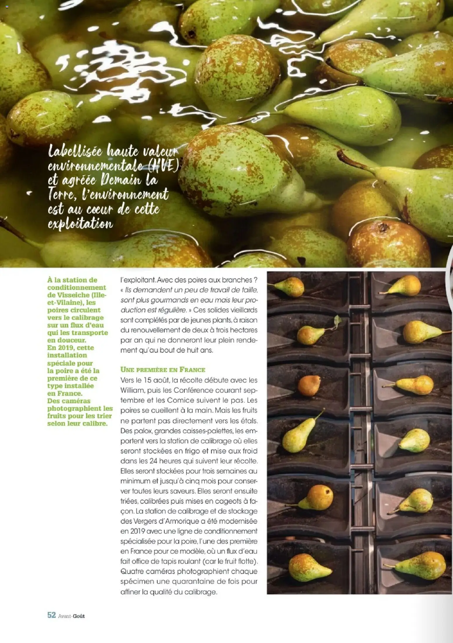 {H1} | Page: 52 | Produits: Poire, Mais, Frigo, Tapis