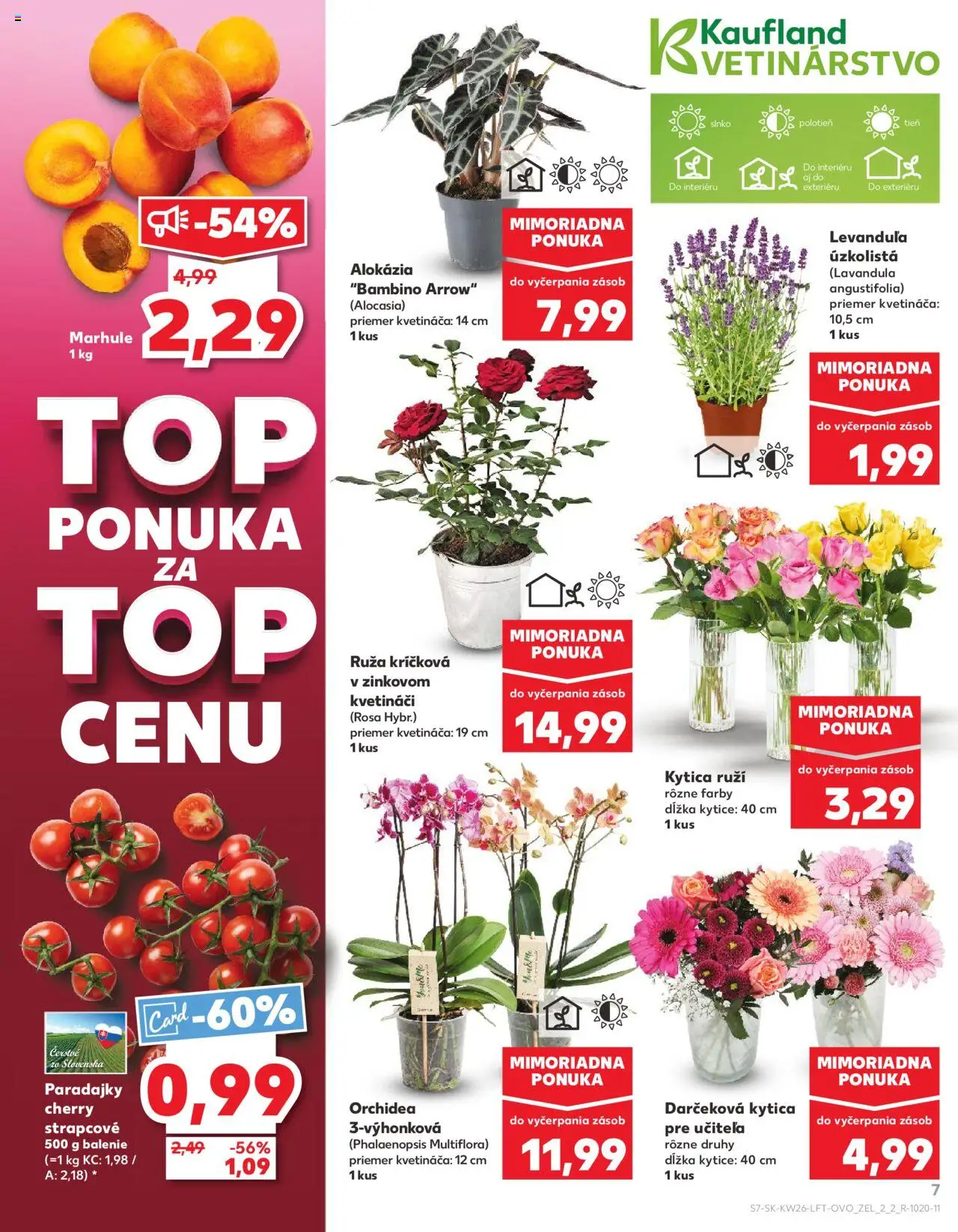 Nové Kaufland akcie – leták je platný od 26.06.2025 | Strana: 7 | Produkty: Paradajky, Orchidea, Marhule