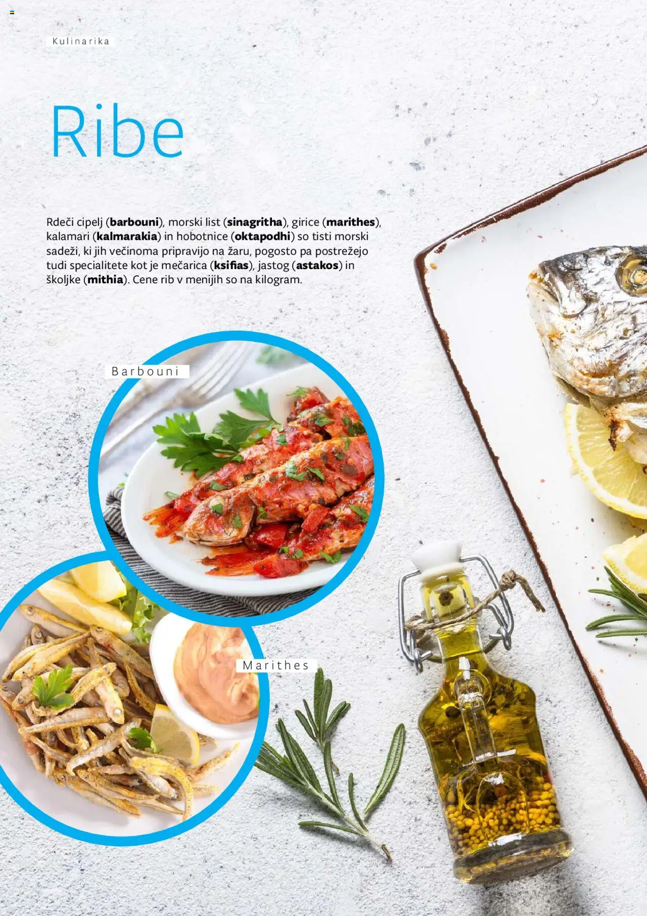 Kompas katalog mediteran │ velja od 11.01.2024 | Stran: 46 | Izdelki: Školjke, Ribe