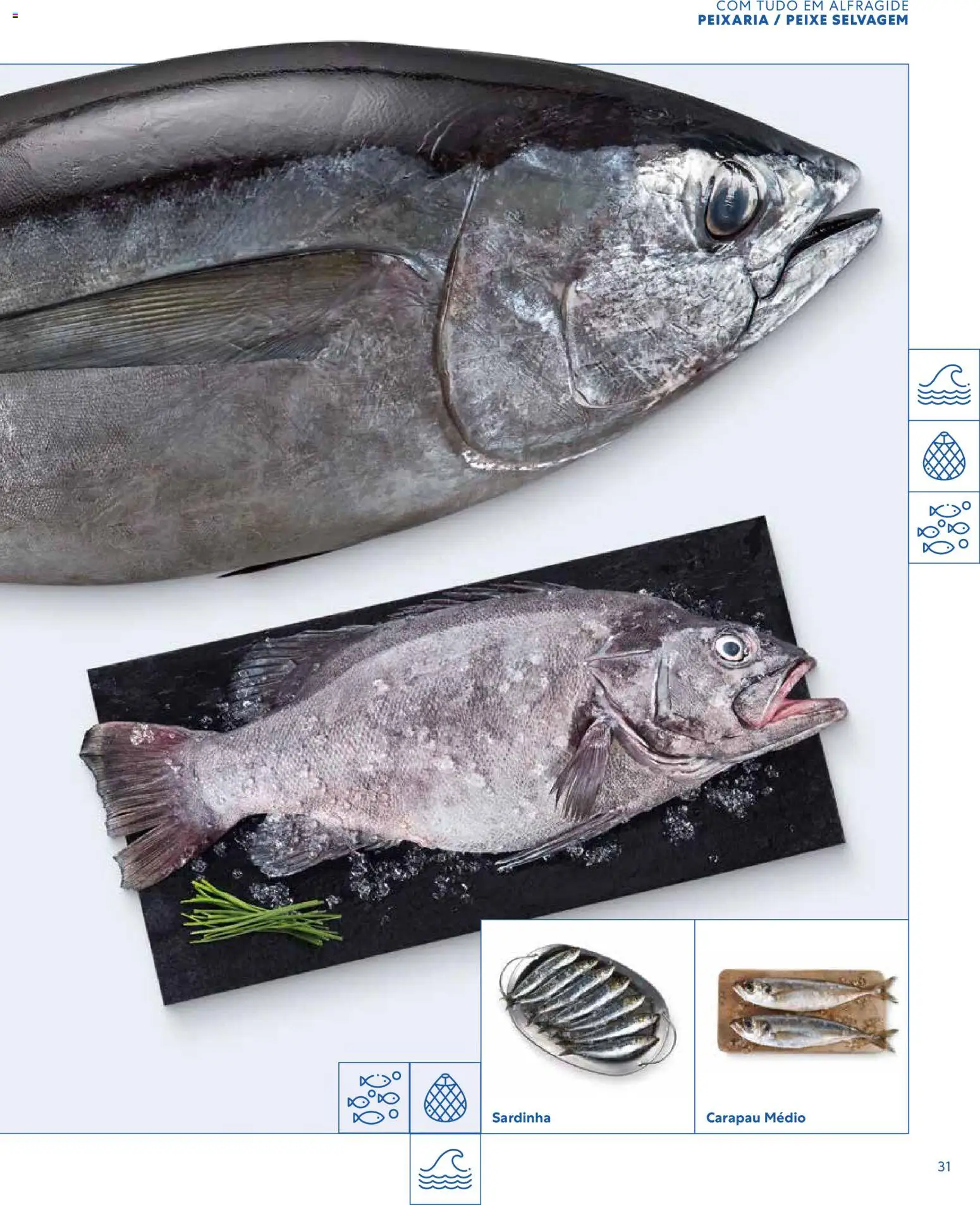 Recheio - Catálogo de Alfragide │ válido de 16.03.2026 | Página: 31 | Produtos: Peixe