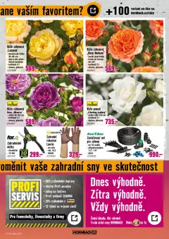 HORNBACH leták - Rostliny lákající hmyz od 09.07.2025 | Strana: 7 | Produkty: Nůžky, Rukavice, Květináč, Lampiony