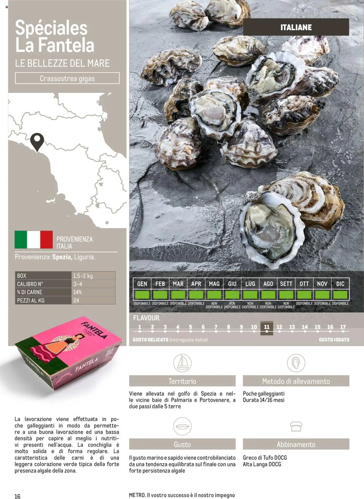 Volantino Metro del 17.06.2025 | Pagina: 16